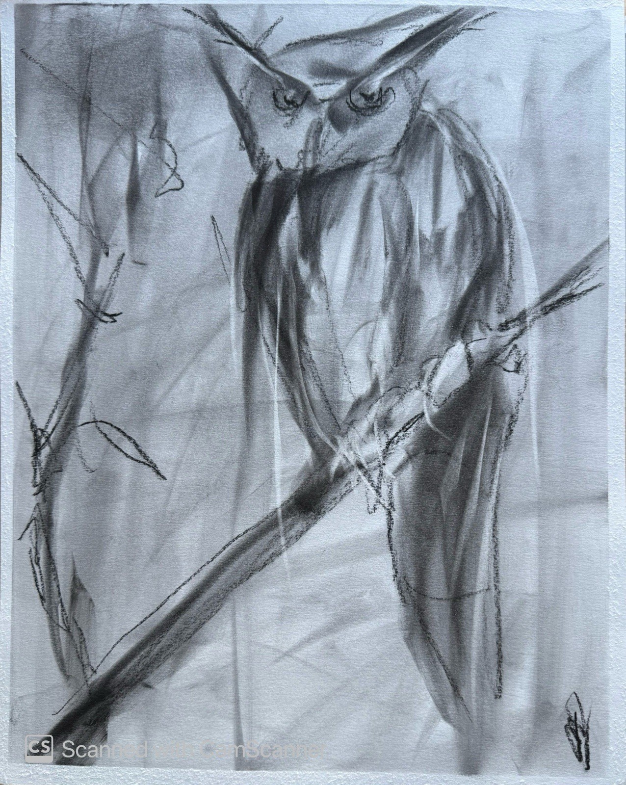 Owl on Branch 11×14 Pastel on Paper Moody Wildlife Bird Art