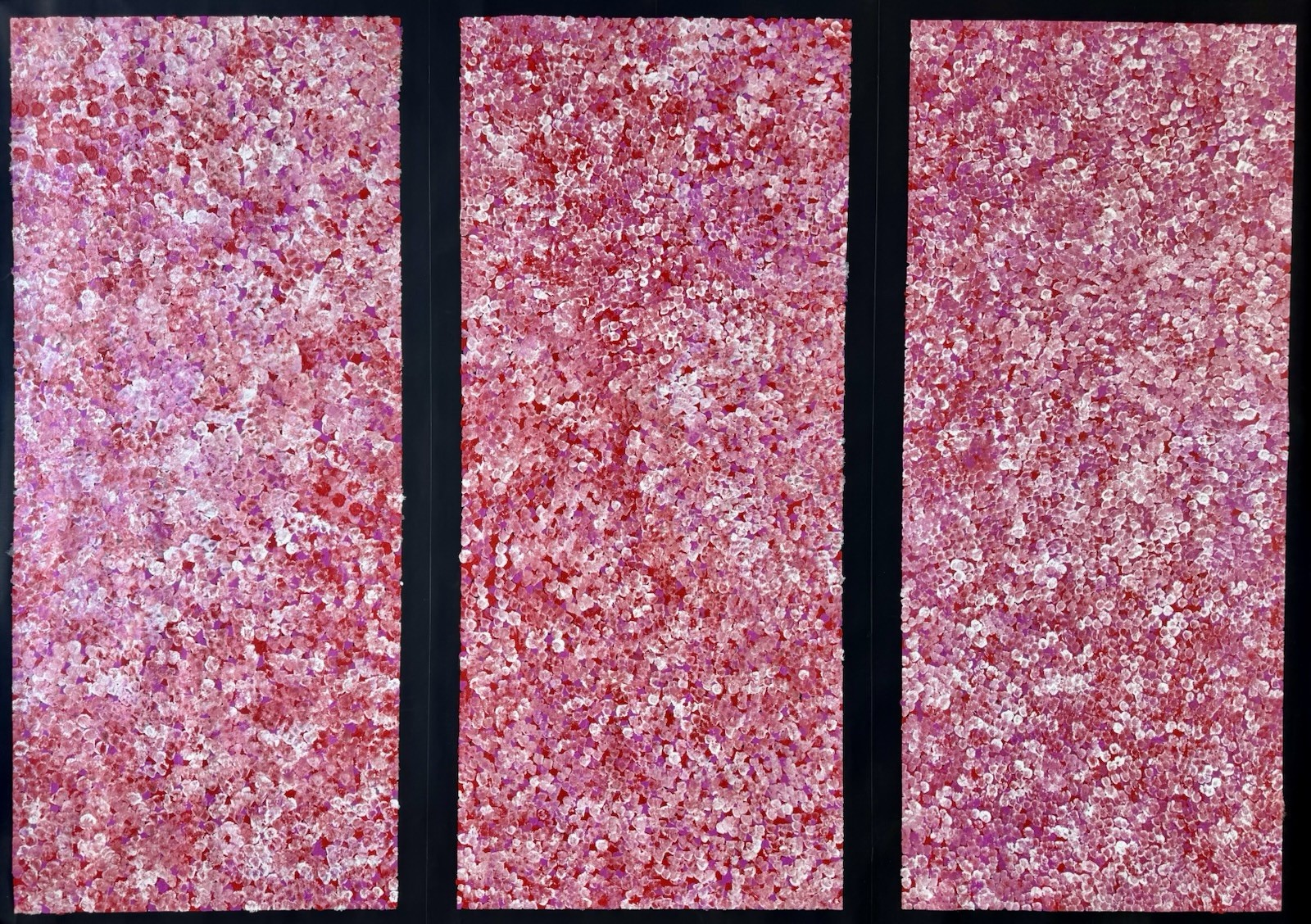 Bessie Pitjara. Highly Collectable Aboriginal Art. Incl COA, and photo’s