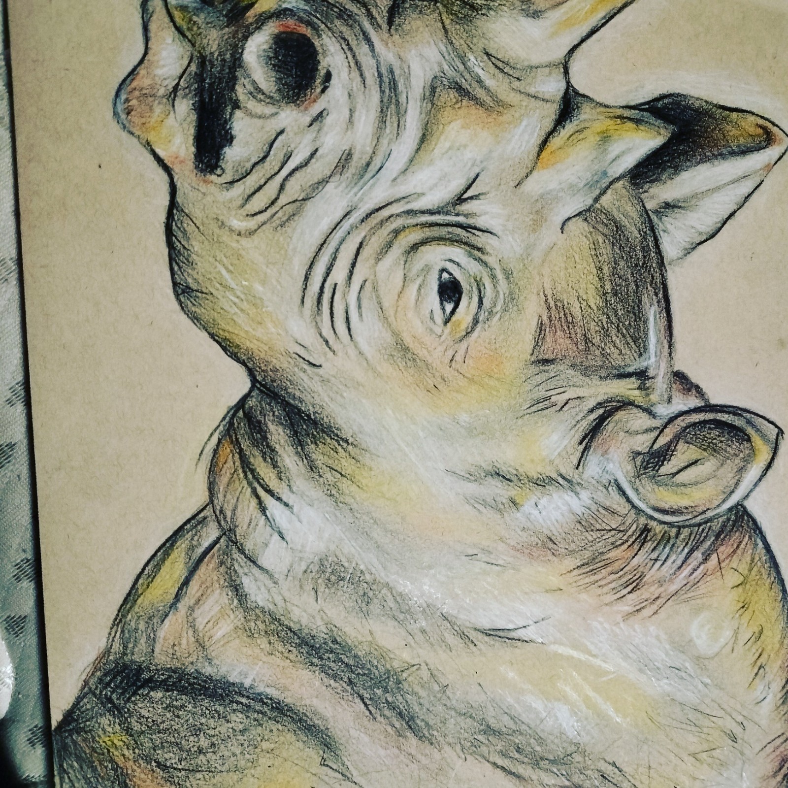 original art work, charcoal, colored pencil. whatever you would like