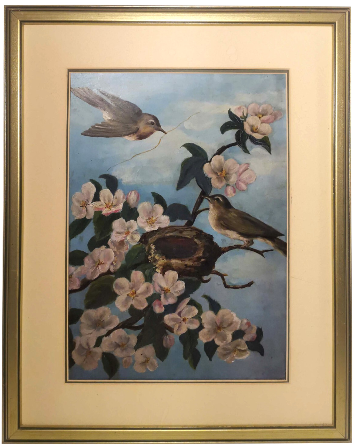 EARLY 20TH C VINT O/B PAIR YELLOW BREASTED CHATS, W/NEST in BLOOMING CHERRY TREE