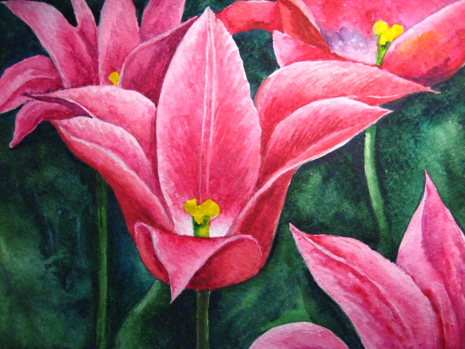 Watercolor Painting Pink Flowers Tulip Nature Garden Farm 5×7 Art