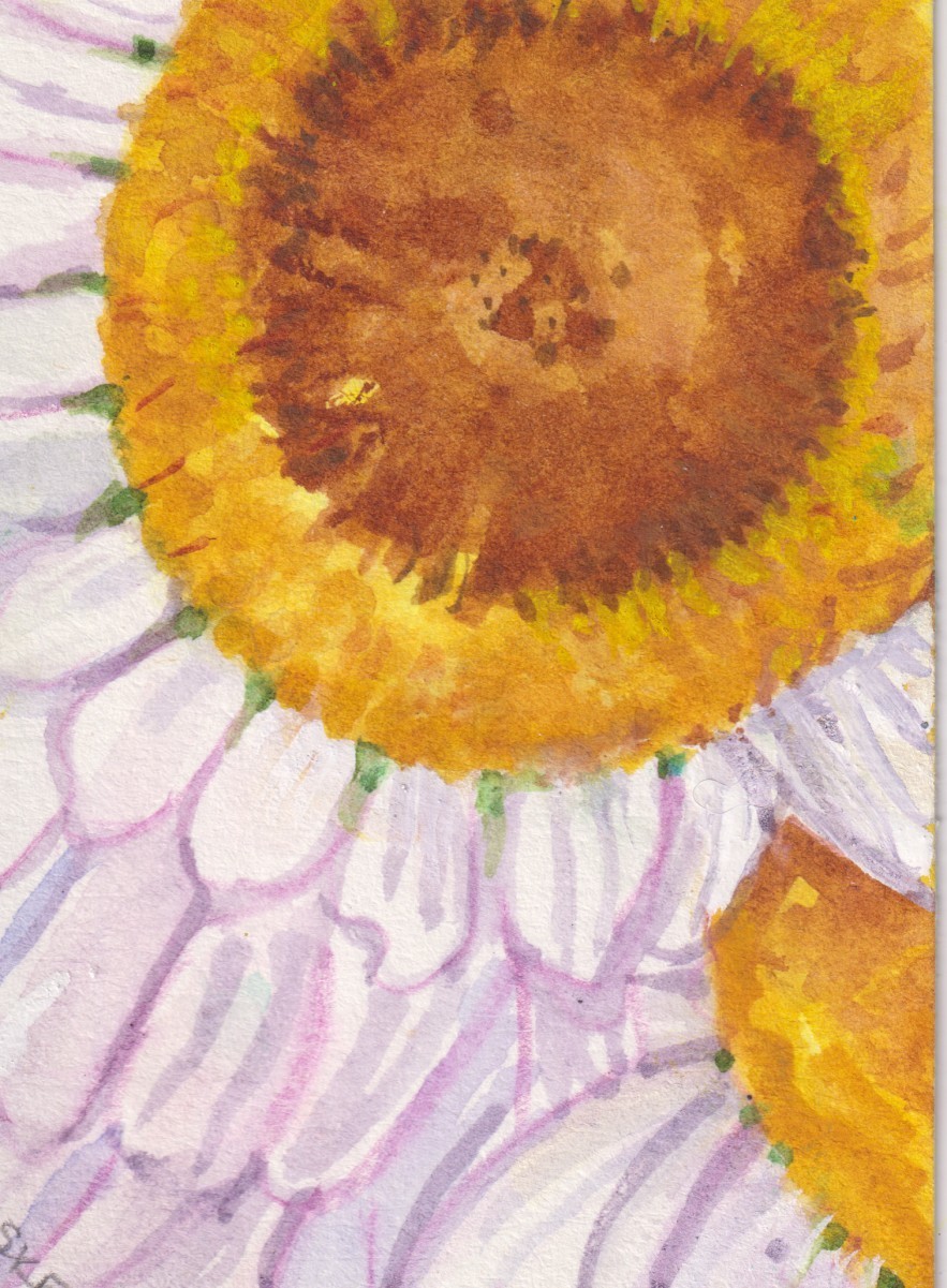 Daisy Flowers ACEO Original White Daisy Watercolor Painting by Sharon Foster