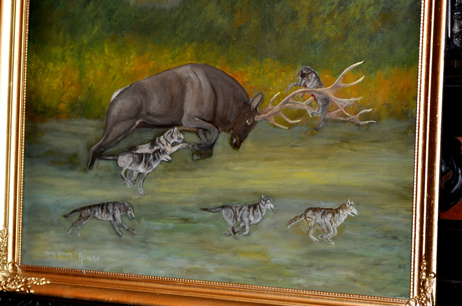 Large Americana Wolves attacking Elk Oil Painting