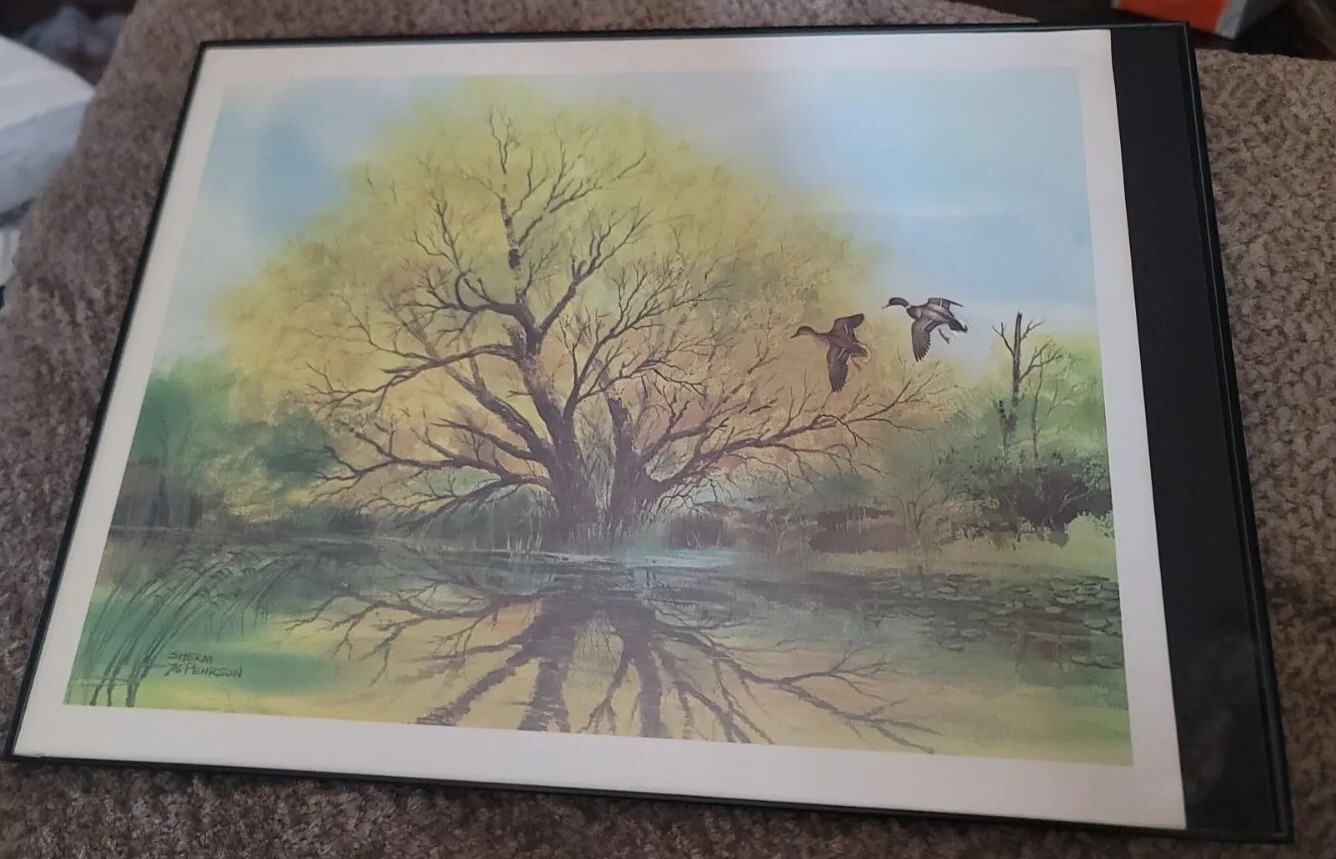 2 ducks flying over a pond by a tree painting by sherm Pehrson ’76