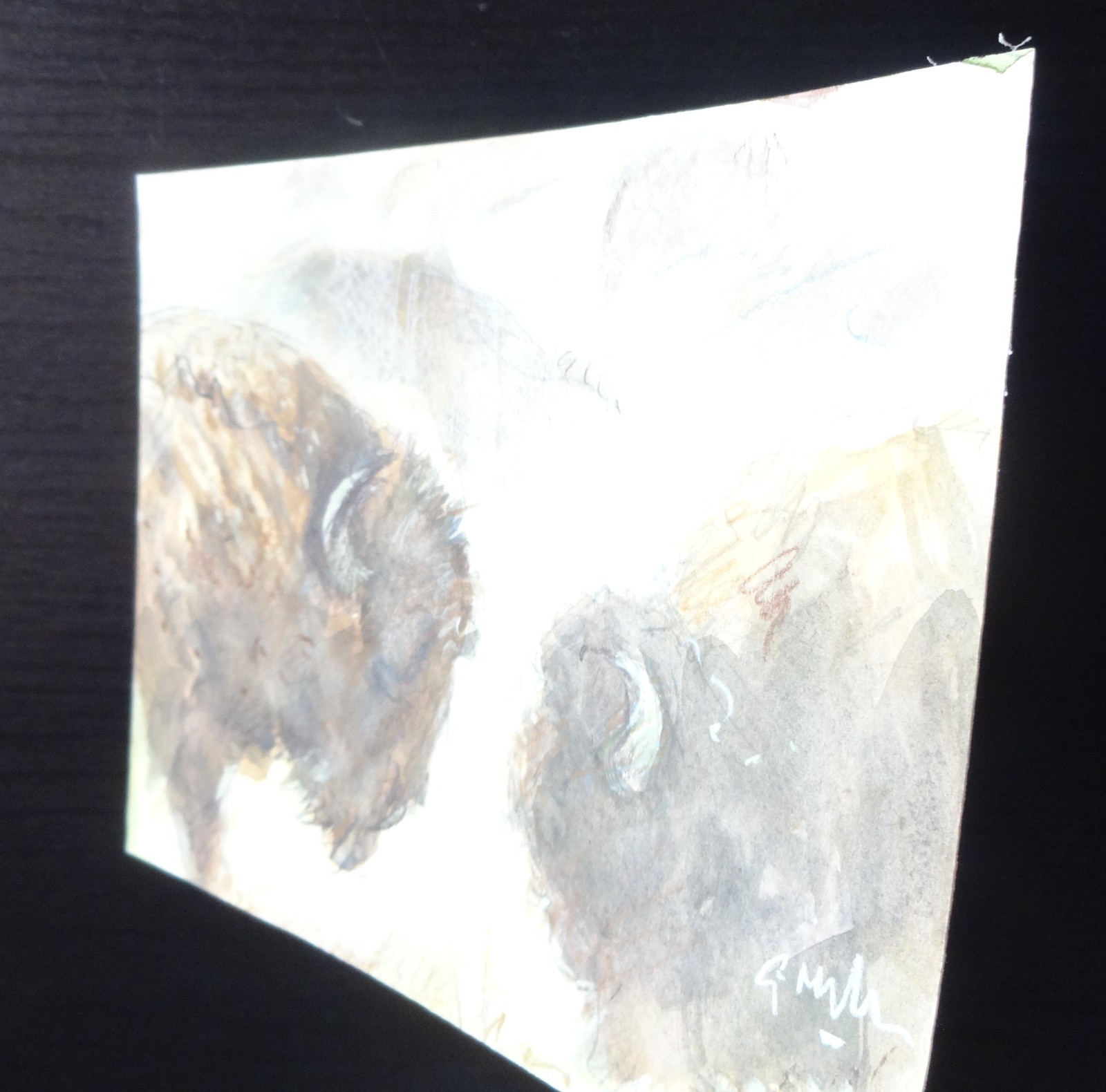 GERRY MILLER. Watercolour – «2 Buffalo». No frame. 20x14cm.