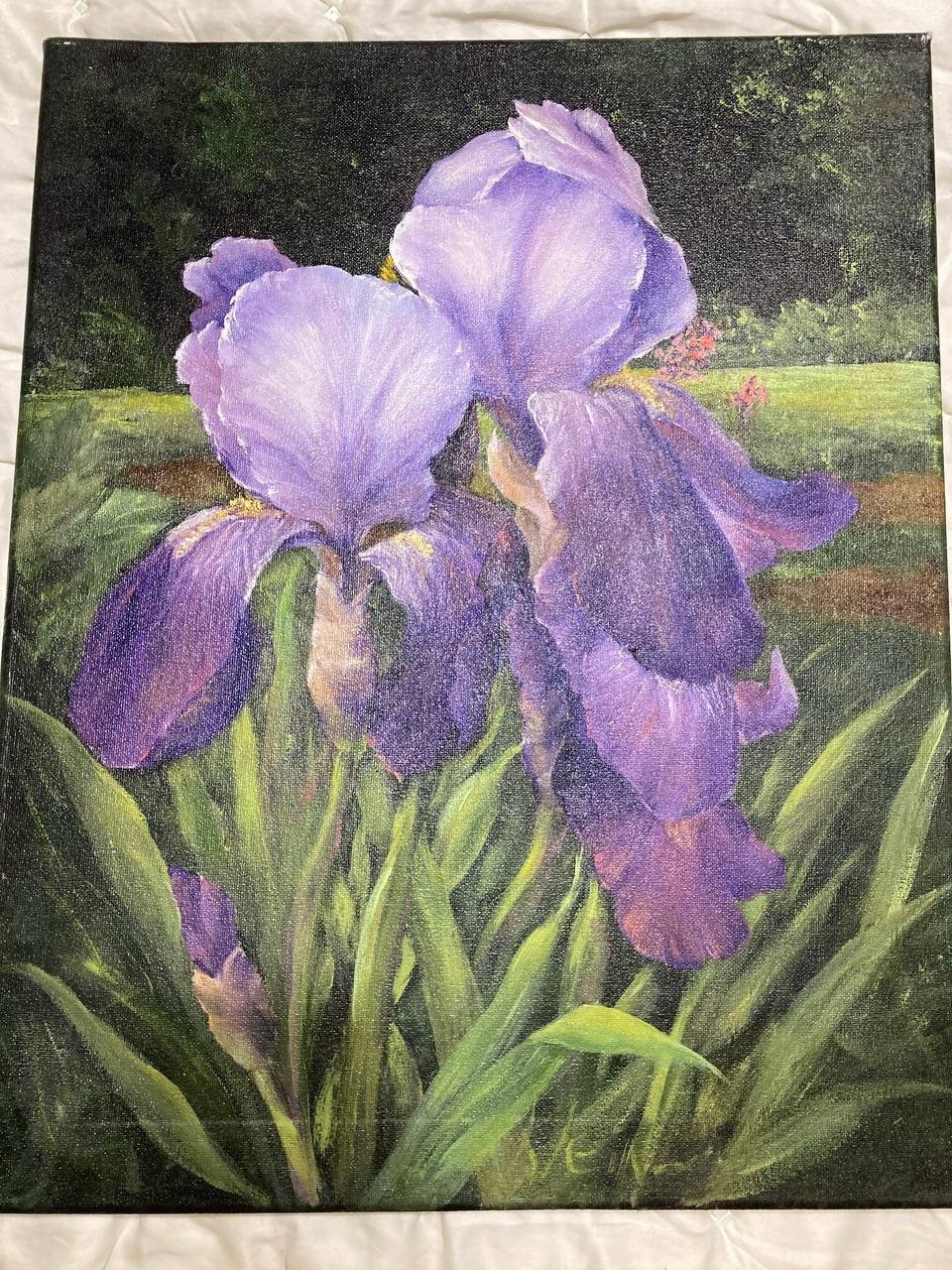 Original Oil Painting Irises By Ramona Klein