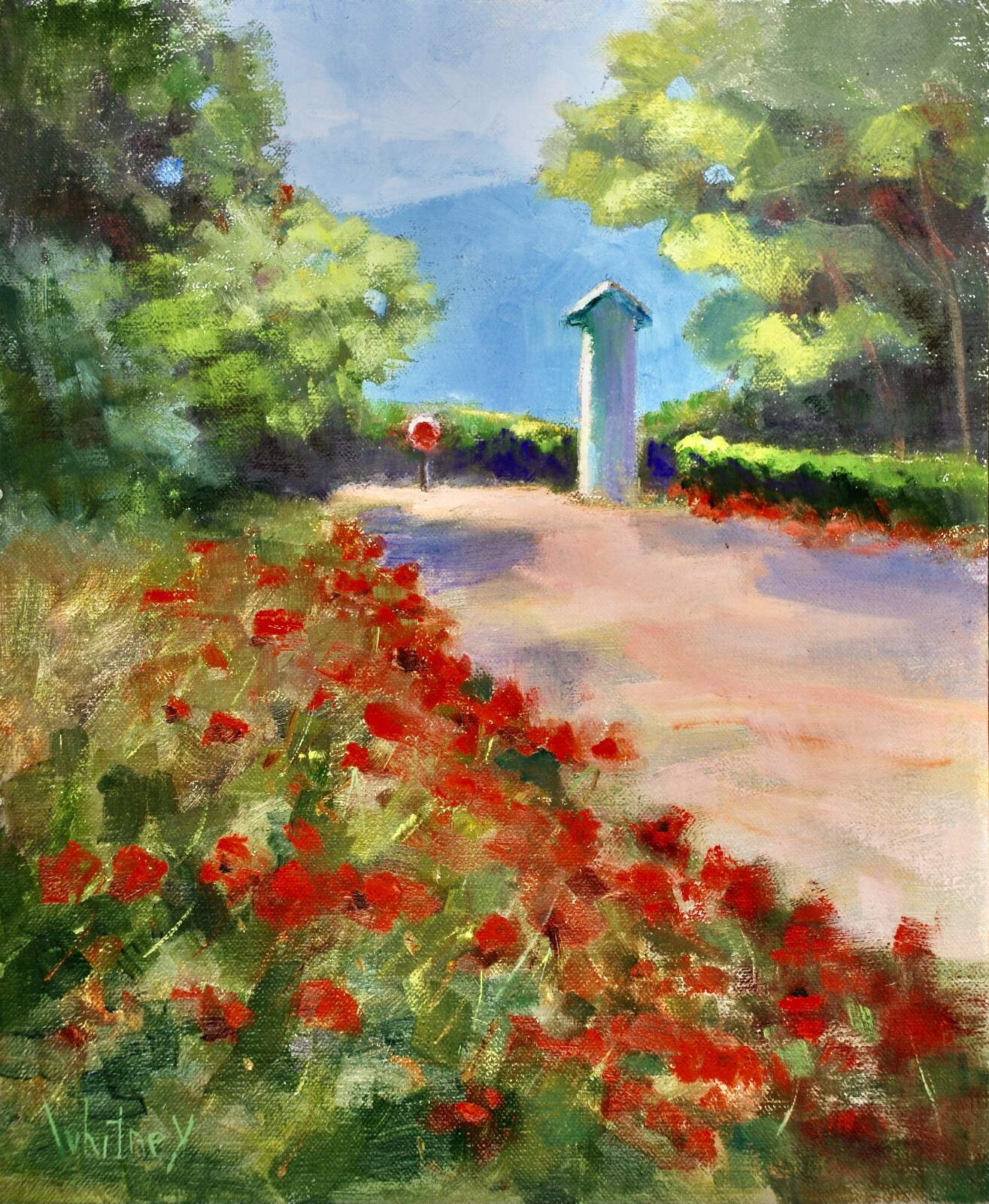 Poppies Painting Roadside Provence Village France 10×12 Original Oil Su Whitney