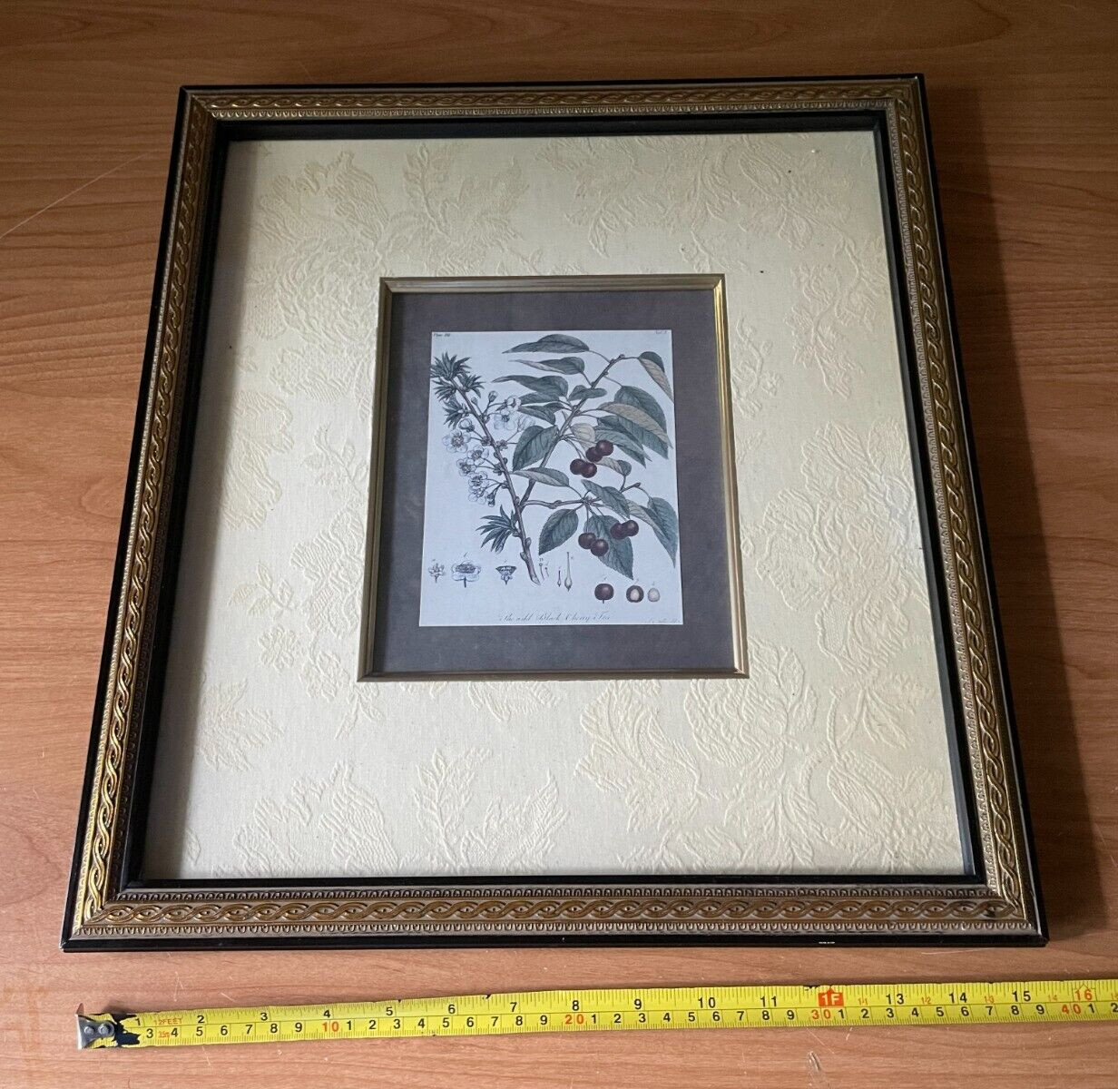 PRINT~THE WILD BLACK CHERRY TREE~Framed & Matted