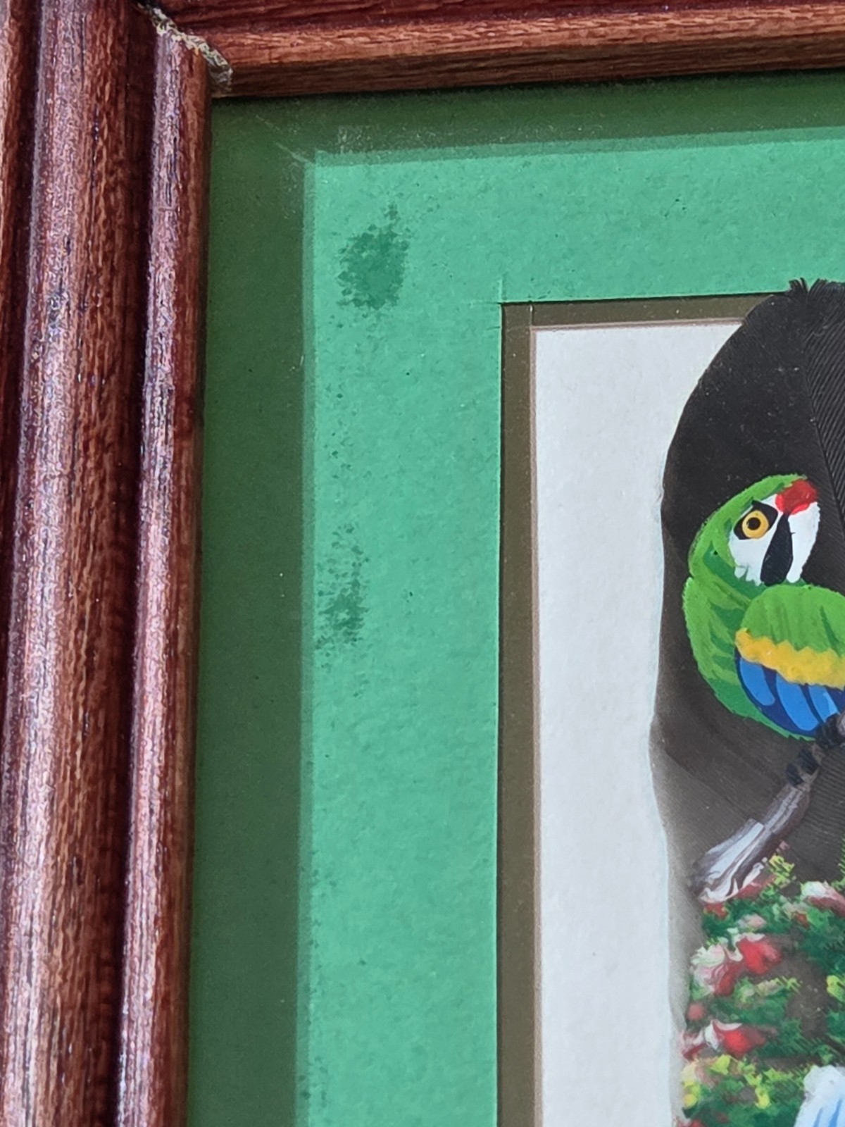 Hand Painted Feather, Parrot Signed Costa Rica Framed 7.75″ X 5”