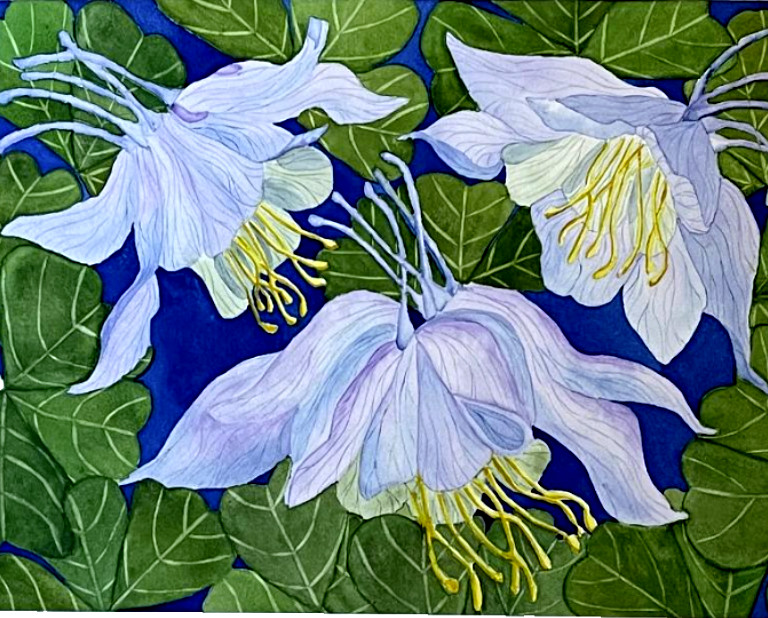 PAINTING WATERCOLOR ART COLUMBINE FLOWER BLUE PURPLE LAVENDER 11X14 & MAT 16X20