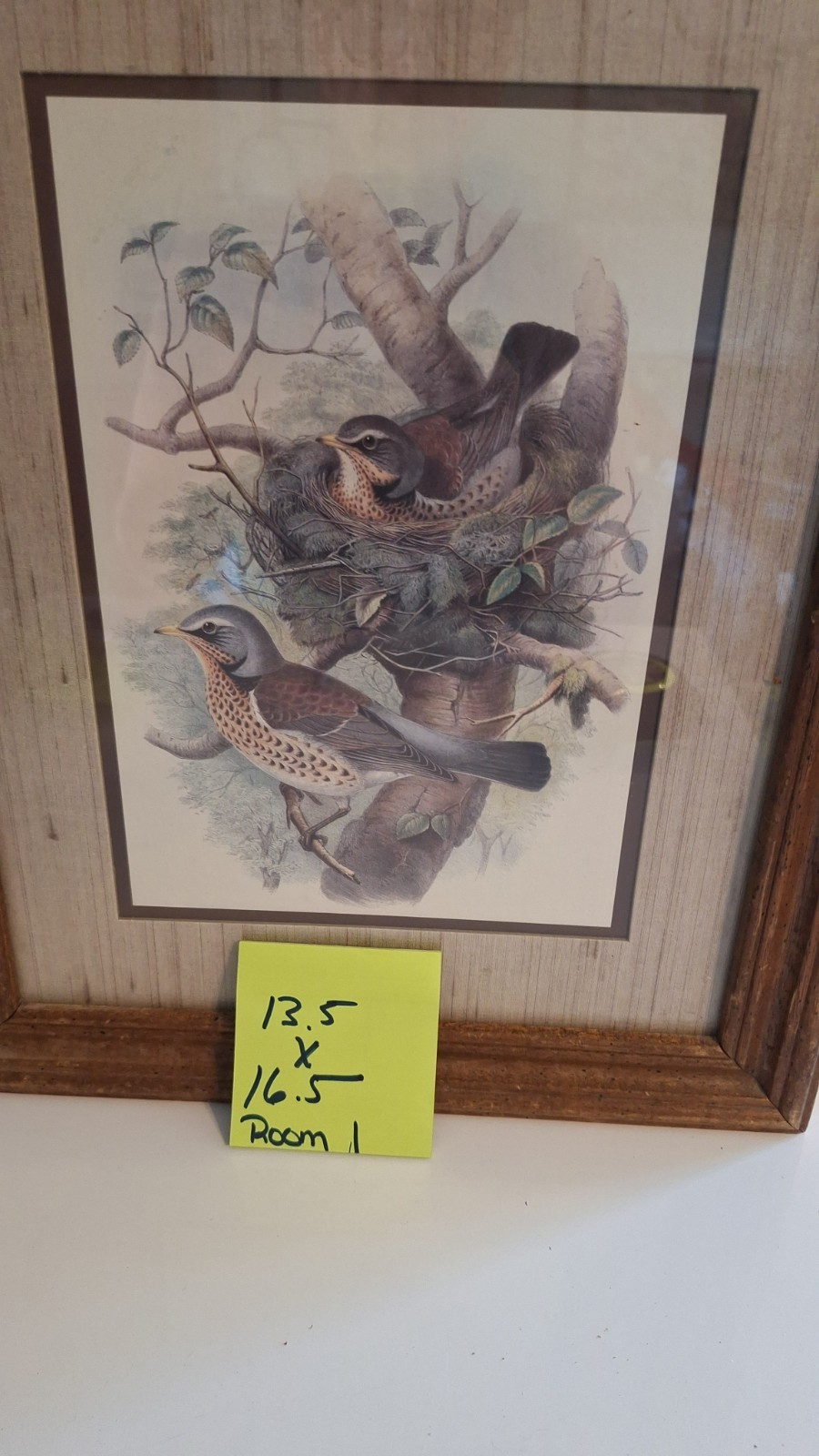 FRAMED VINTAGE BIRD NESTING SCENE PRINT WOOD THRUSH WALL ART DECOR