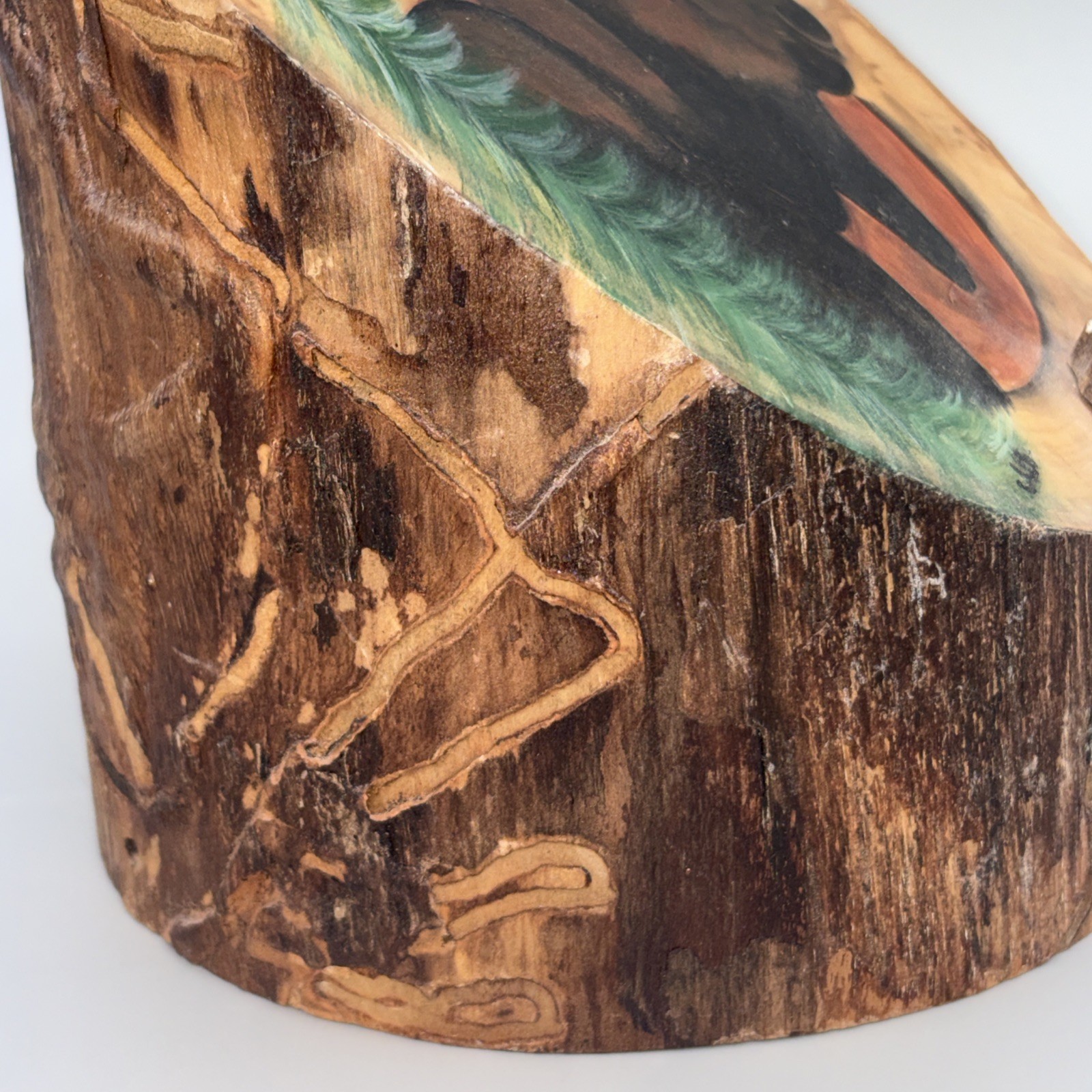 Signed AEE Hand Painted ‘Moose on Aspen Wood’ Slant Wedge Elk Antler Button Vtg
