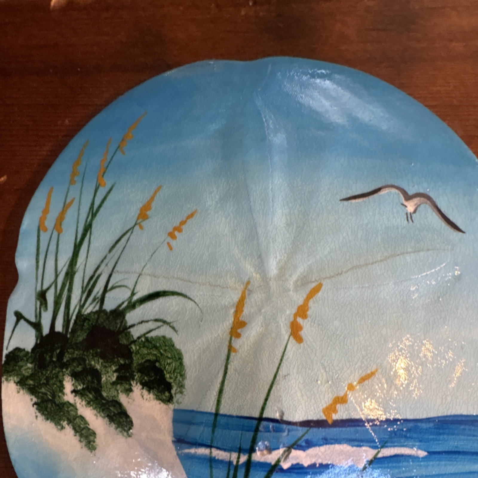 Hand Painted Sand Dollar Shell Beach Scene Signed Shapac Wood Plaque