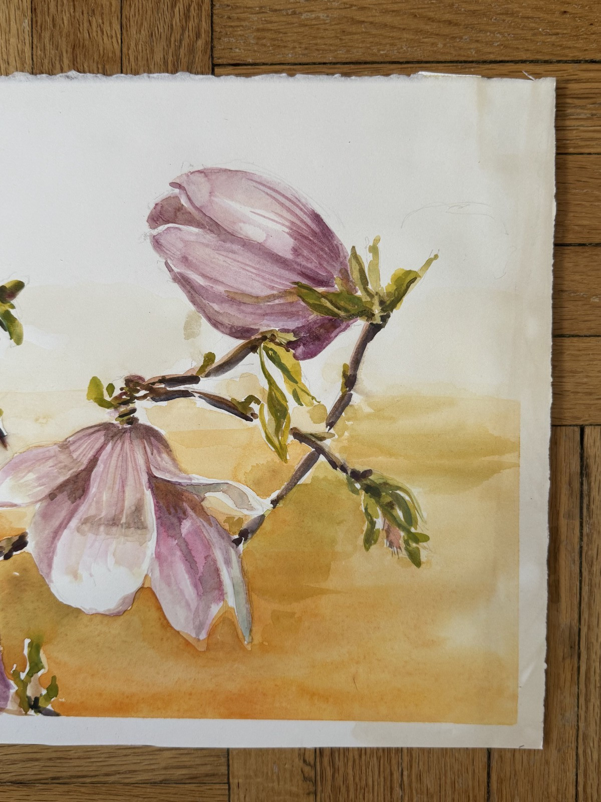 Vintage Watercolor Painting Floral Pink Magnolia Flowers Botanical 11 x 15 OOAK