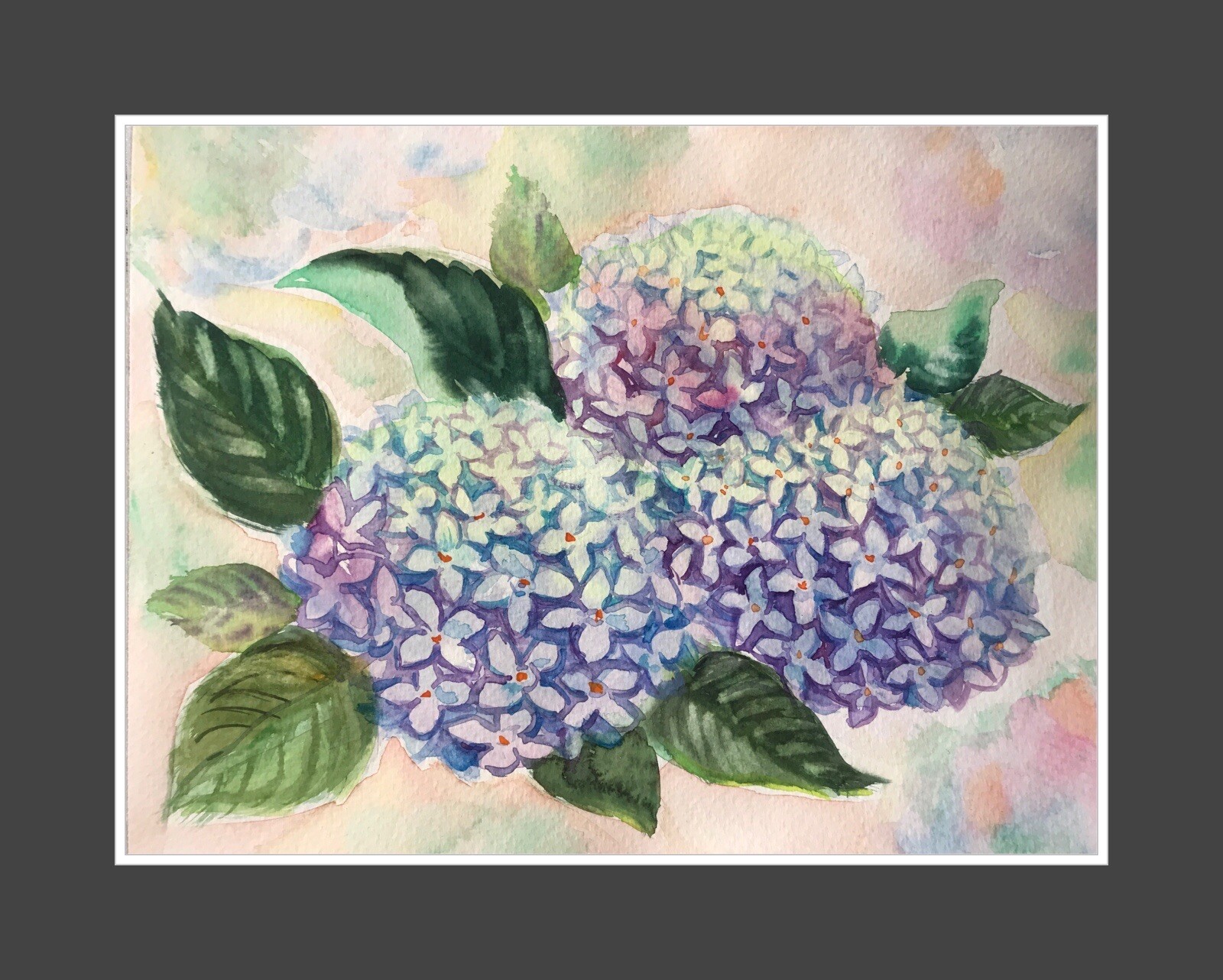 Original Watercolor. Hydrangea Flowers. Blue, Purple Floral Wall Art 9″x12″