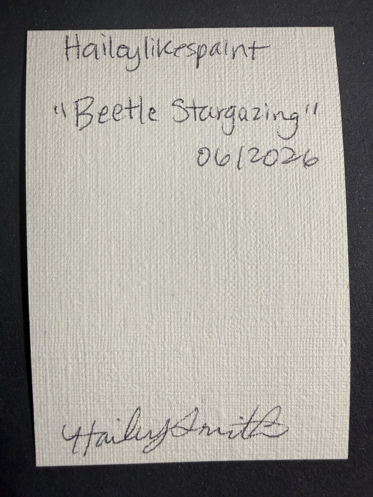 ACEO OOAK Beetle Stargazing MUSHROOM Sky painting Haileylikespaint