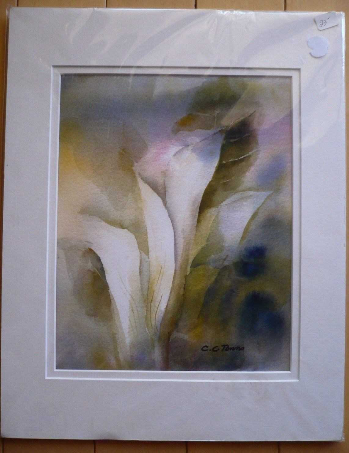 CONNIE TOWNS, COLORISM COLORIST WATERCOLOR FLOWER FLORAL CALIFORNIA CALIF CA ART