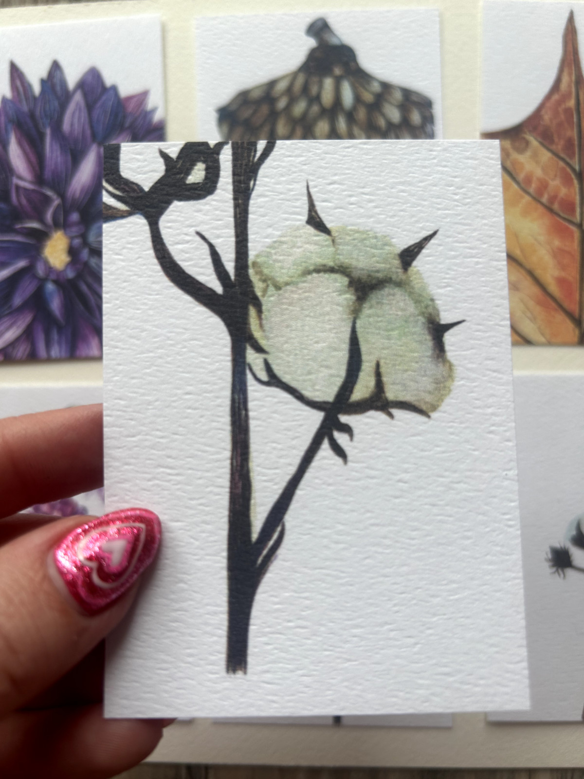 ACEO Edition- Print Sawyer Crane Flower Watercolor Cotton Plant West Texas