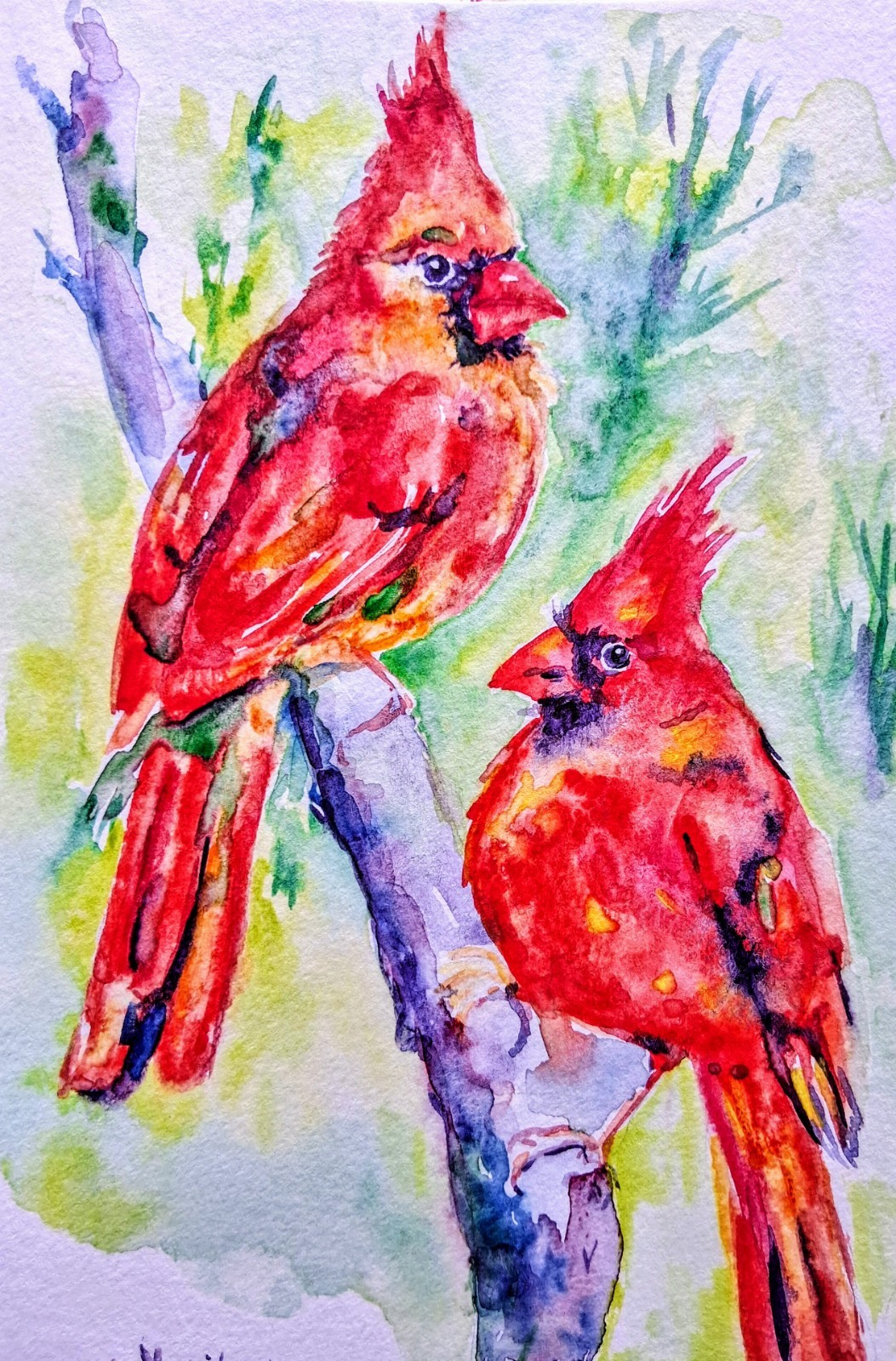 Bird art,original Watercolor painting red Christmas cardinal bird Best gift 5×8″