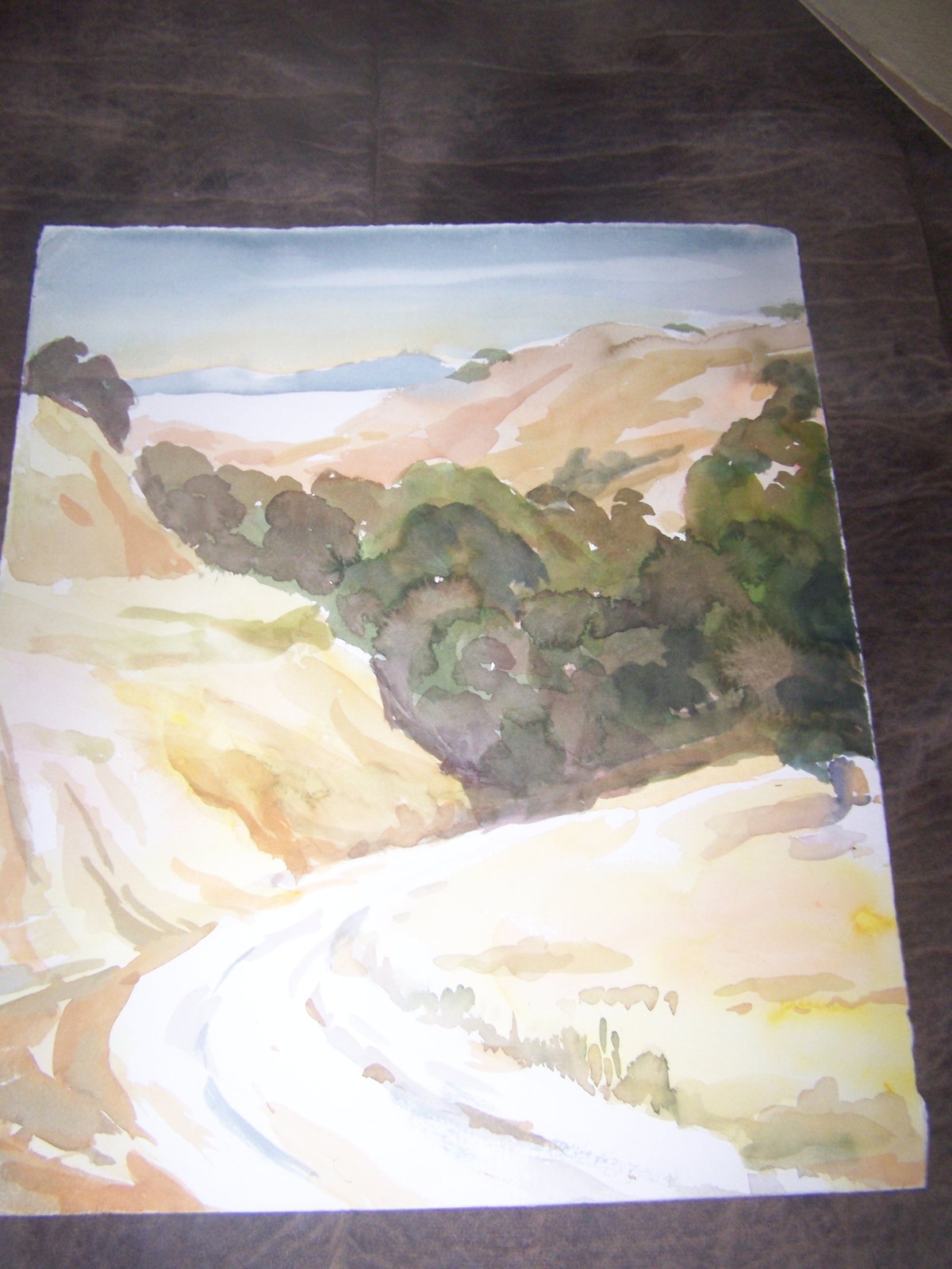 Original Watercolor By Peg Humphreys, Road to Paradise 16.5″ x 13.5″