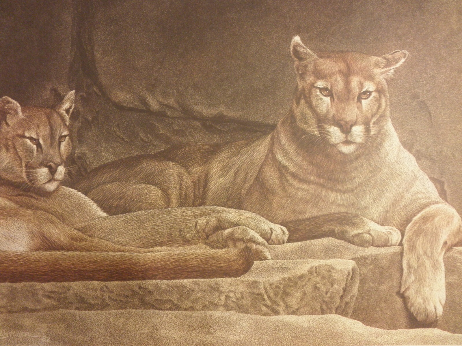 Sally Miller-Maxwell Scratchboard Signed Lithograph»PERFECT PAIR» Ltd & #’d/ 950