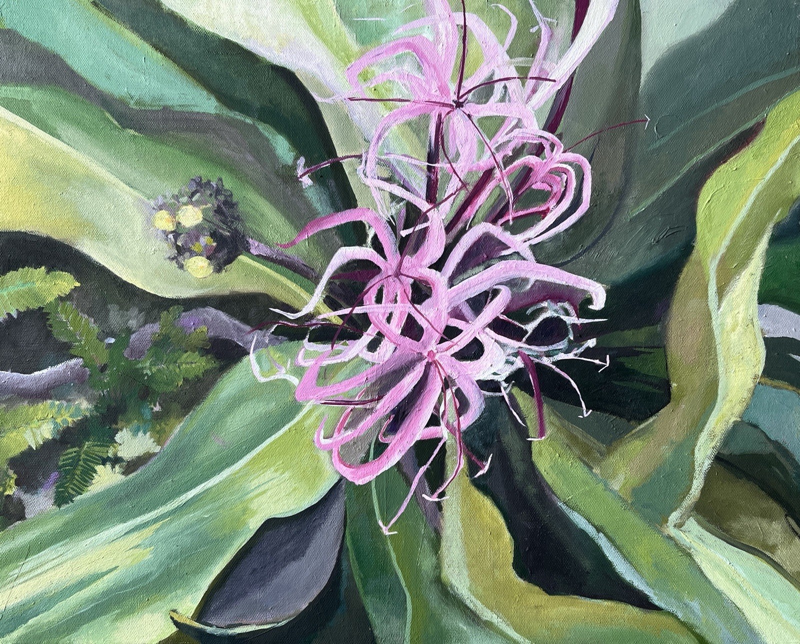 Florida Flora Oil Painting Spider Lily Collect Original Fine Art Signed Dated