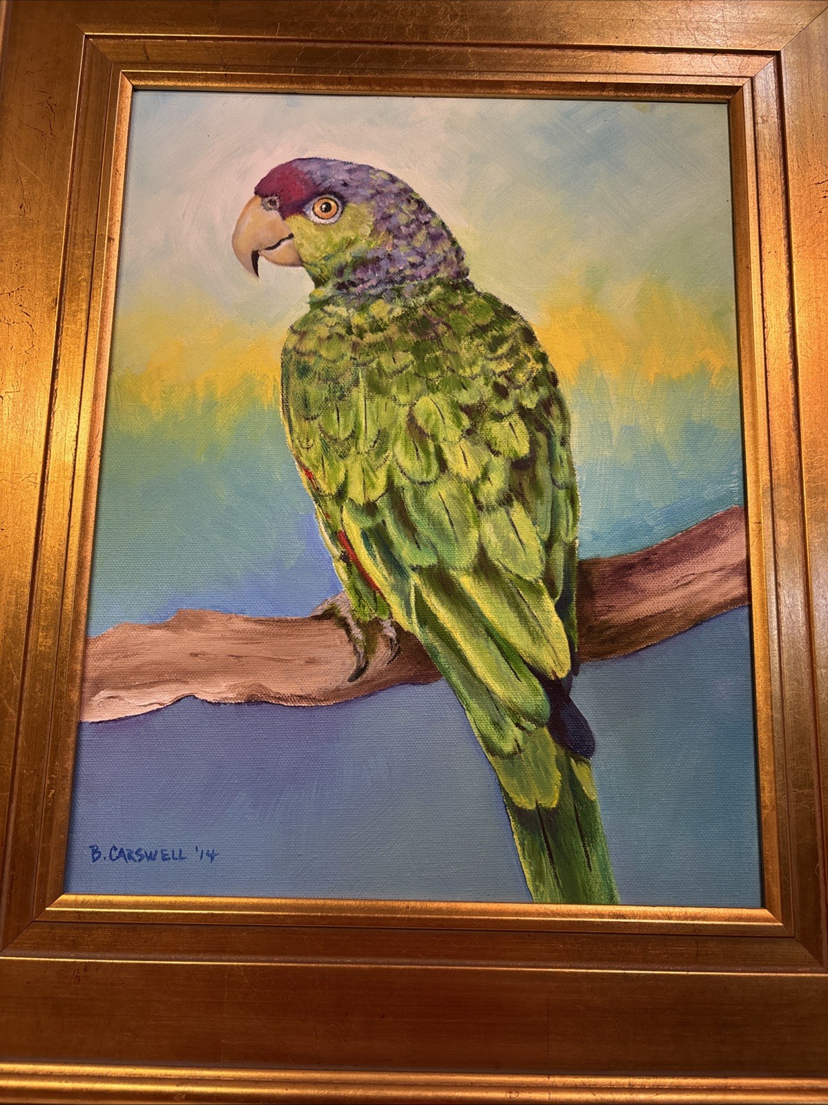 Framed Paint On Canvas Art Of A Parrot Signed By Artist. B. Carswell 16”-19”