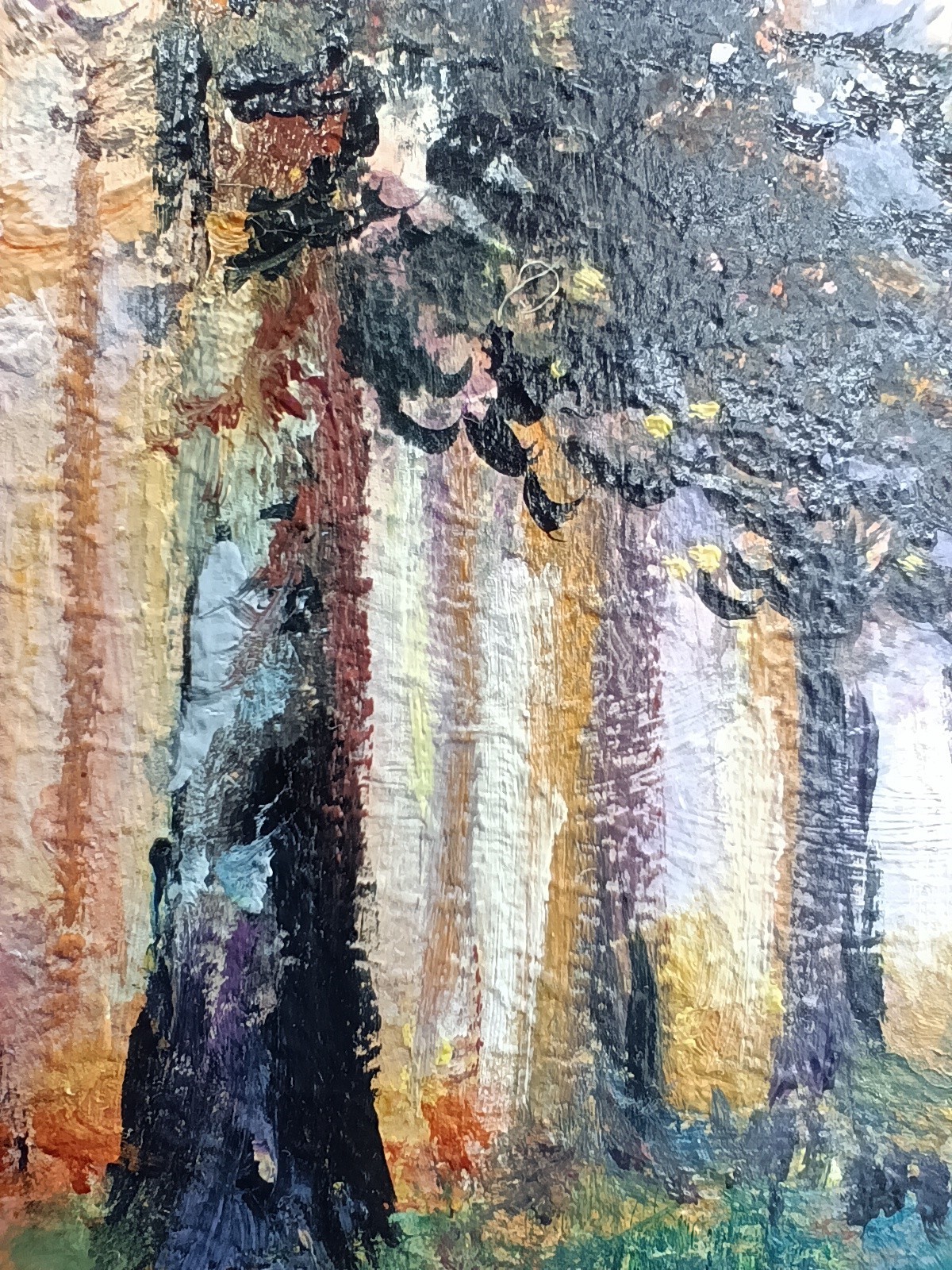Forest Landscape Original Oil Painting 6×4 Framed Signed Autumn Woods Sunray Art