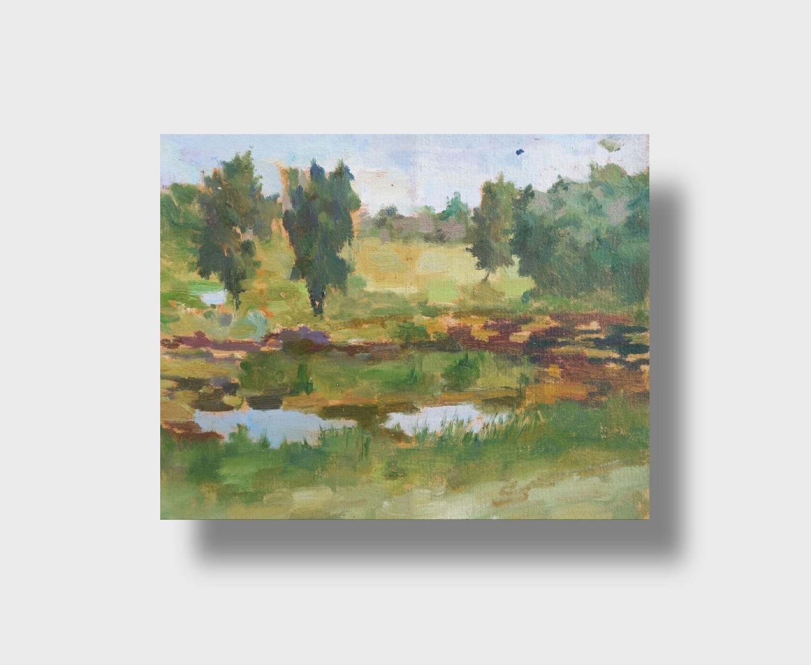 Oil painting Pond Ukrainian painter Unframed Decor original landscape art