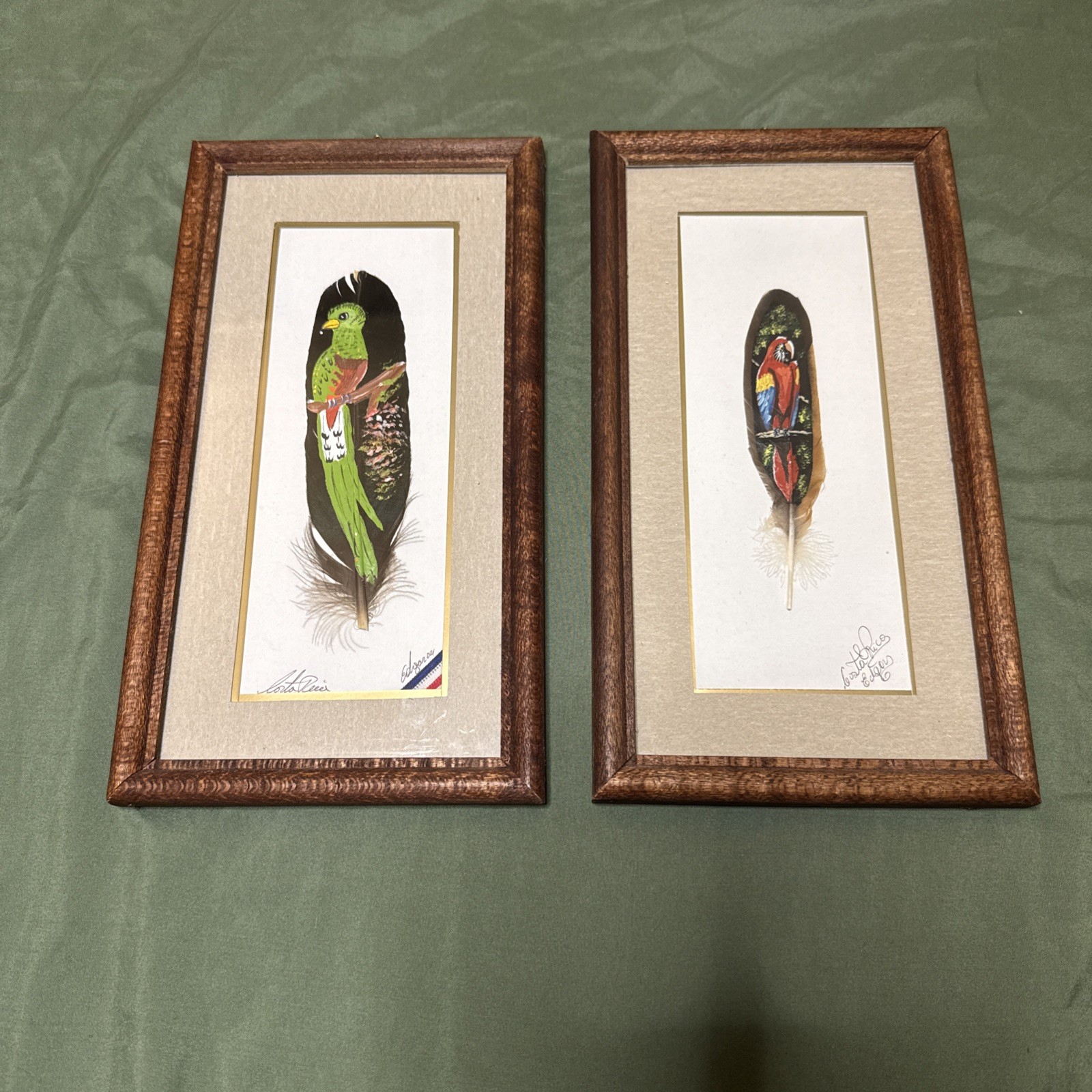 Set Of 2 Costa Rica Feater Bird Paintings Quetzal And Macaw Signed Edgar Framed