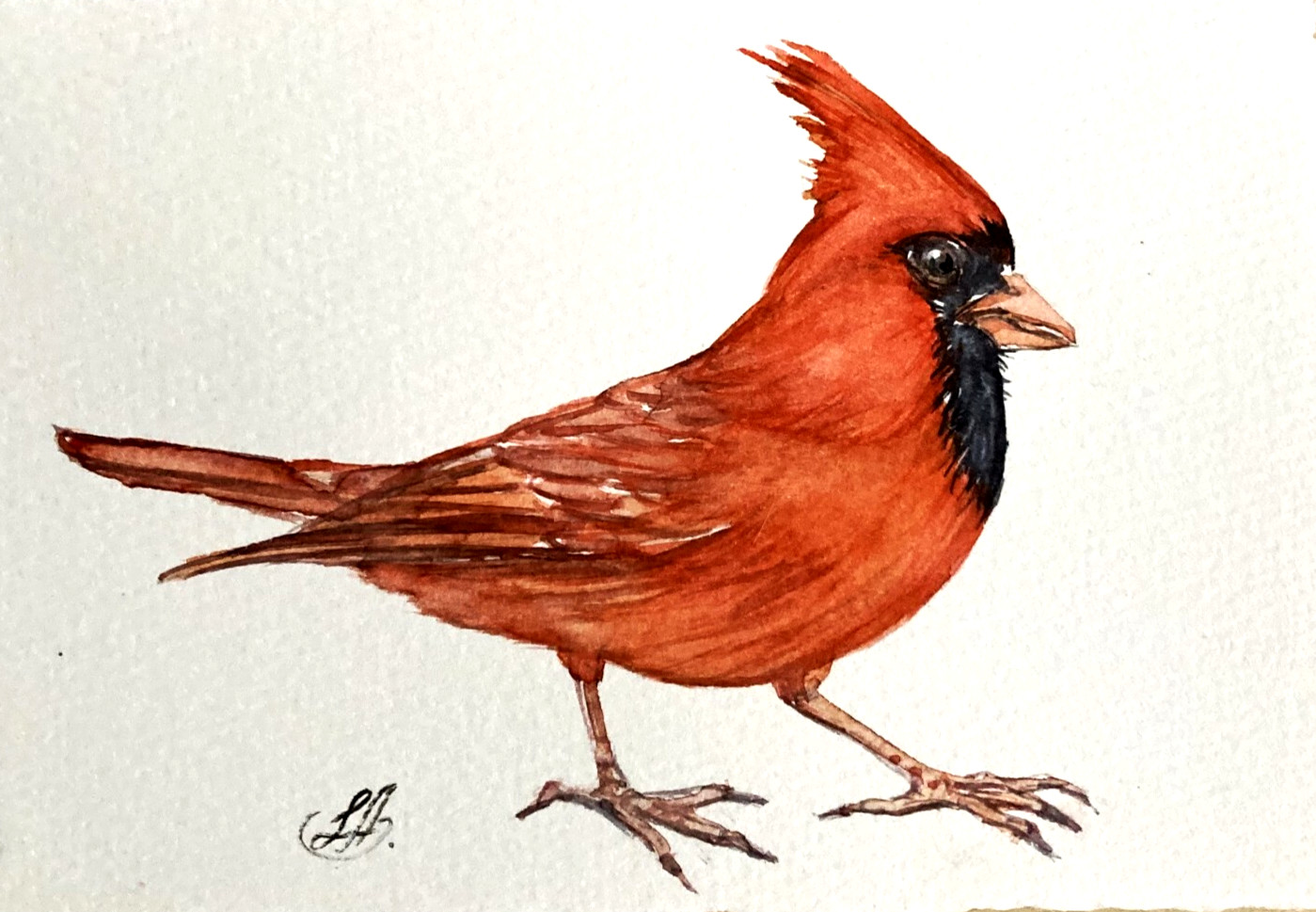 Red Cardinal Bird Watercolor Original Painting Small