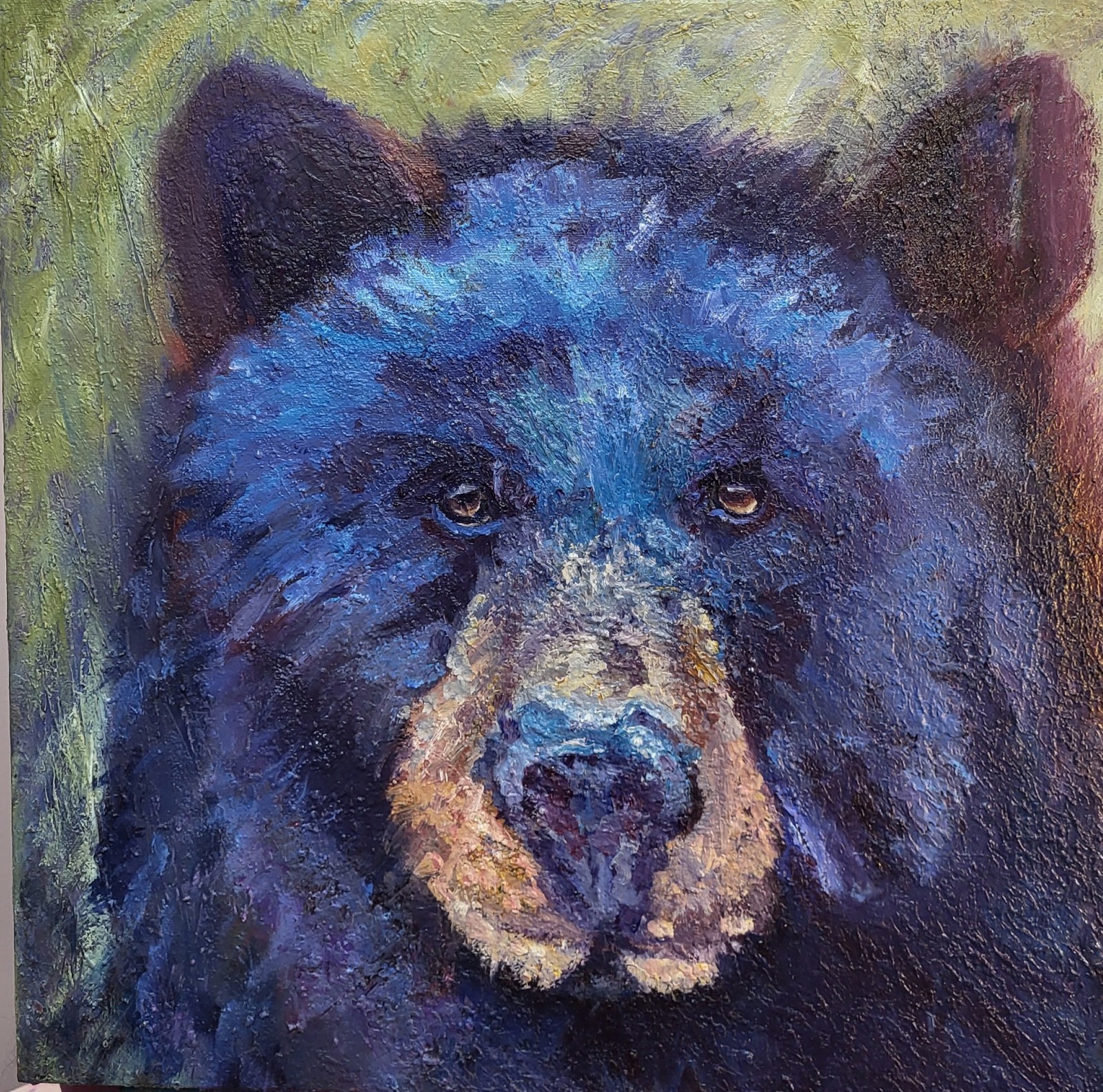 Original Oil Painting Black Bear 20 X 20 Wildlife Textured Modern Art