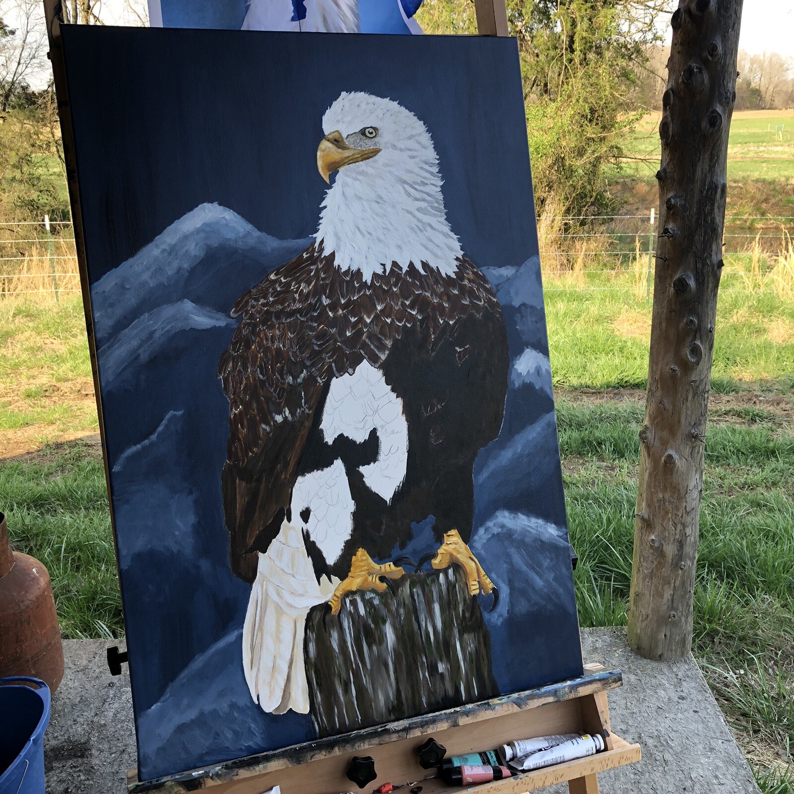 Bald Eagle Original Painting In Acrylics By Arkansas Artist Leah j Smith