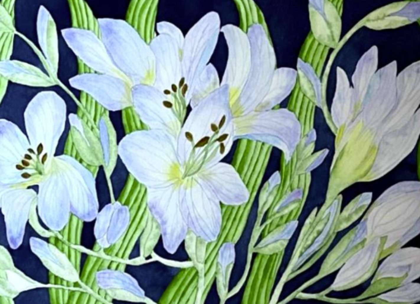 PAINTING WATERCOLOR 11X14 & DOUBLE MAT 16X20 FLOWER FREESIA BLUE LAVENDER PURPLE