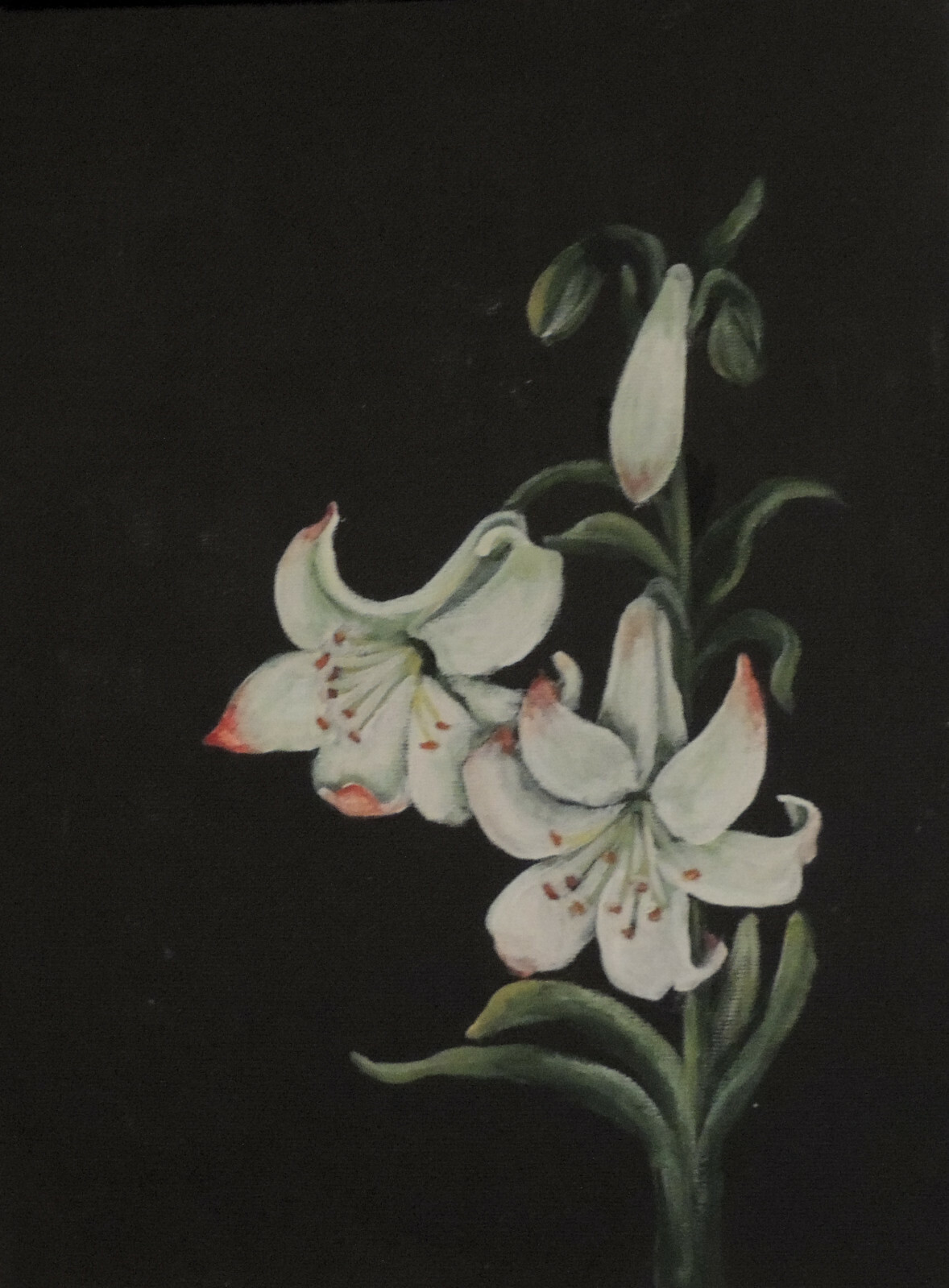 White Lillies on black background print on linen card stock signed
