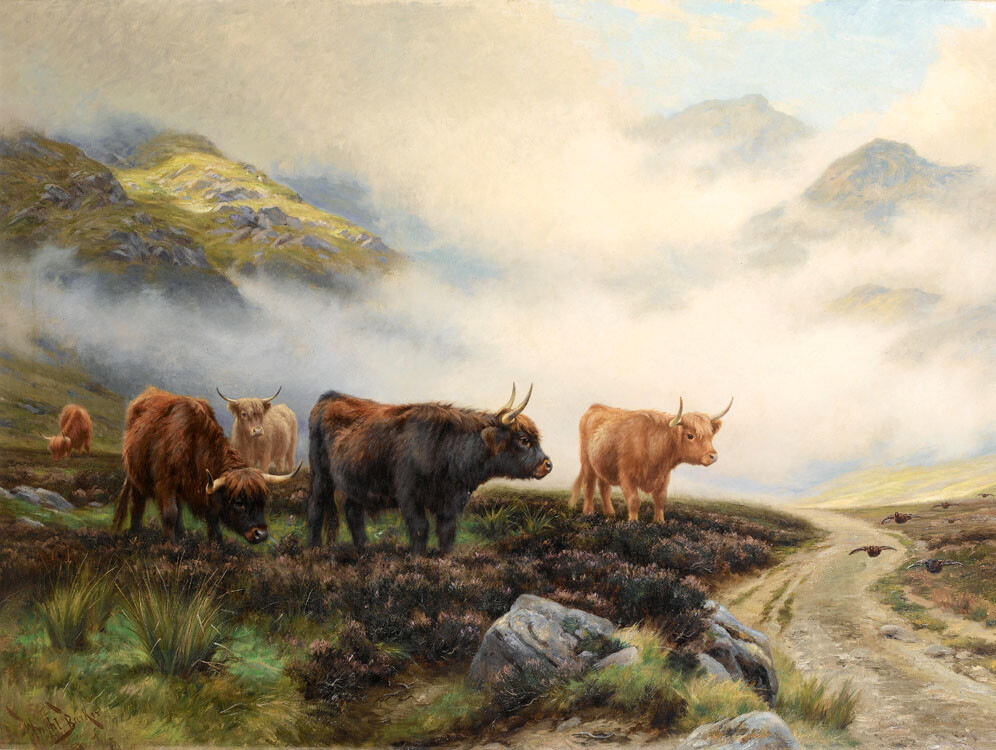 Giclee Highland cattle art painting HD printed on canvas