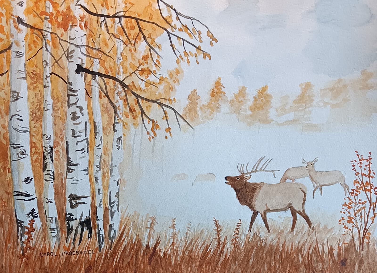 original watercolor painting elk i wildlife mist fog aspens Carol Proebstel