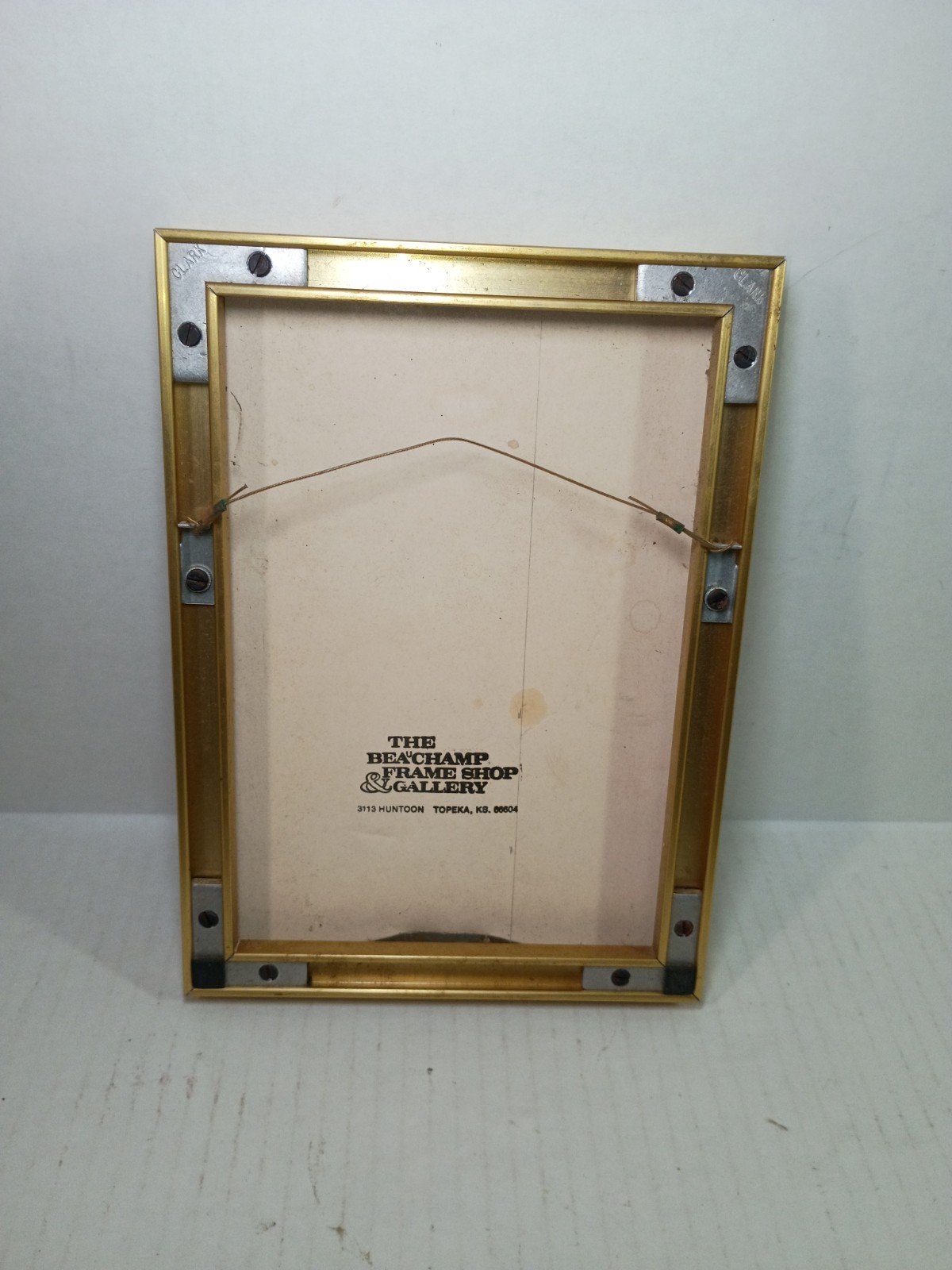 Vintage Hand Painted Pipal Leaf Professionaly Framed Art
