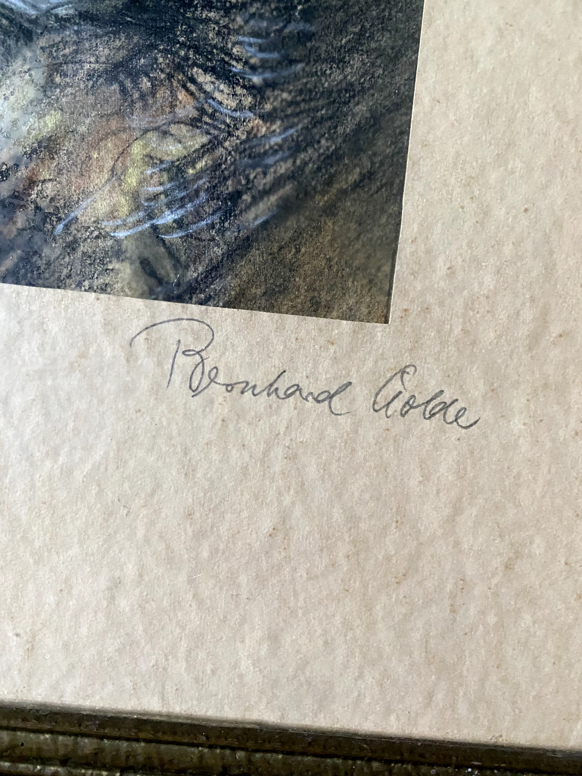 Dog Berherd Wolde Terrier Drawing Antique Animals Frame ° Interesting Made