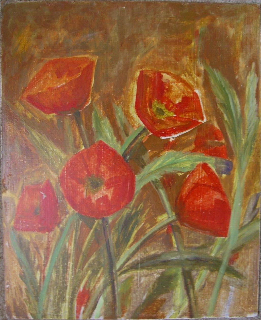 Poppy Red Flowers Plants Brown Background Blossoms Seeds Grain Unripe Antique