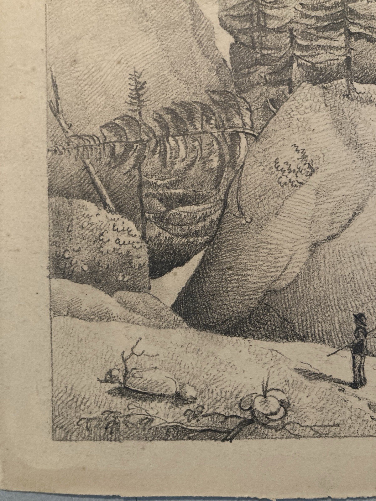 Very Nice Drawing Xixth 1830 Rocher Pencil Swiss? Shaft Foret Antique Alps Art