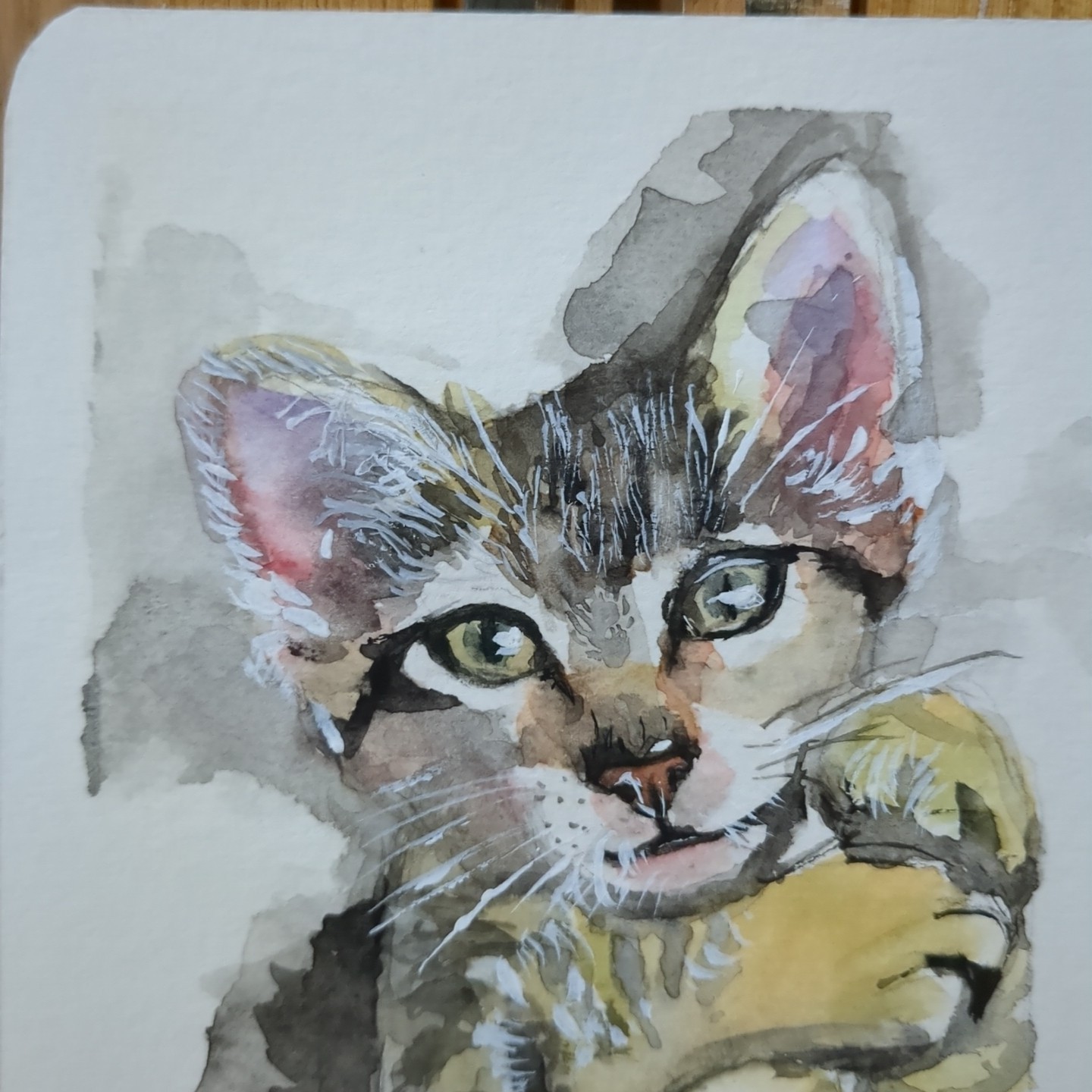Original Watercolor Painting Cute Cat Portrait 4×5.5 by Jake J