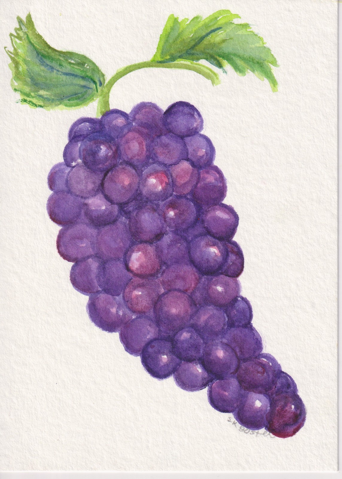 Original Purple Grapes Watercolor Painting 5 x 7 Fruit art, Sharon Foster