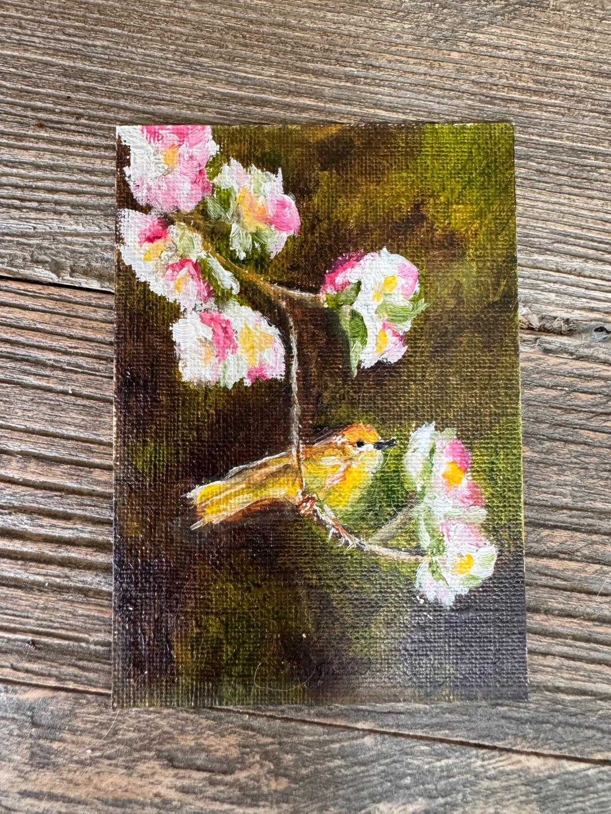 ACEO original oil painting art card Bird and a Cherry Blossom Tree