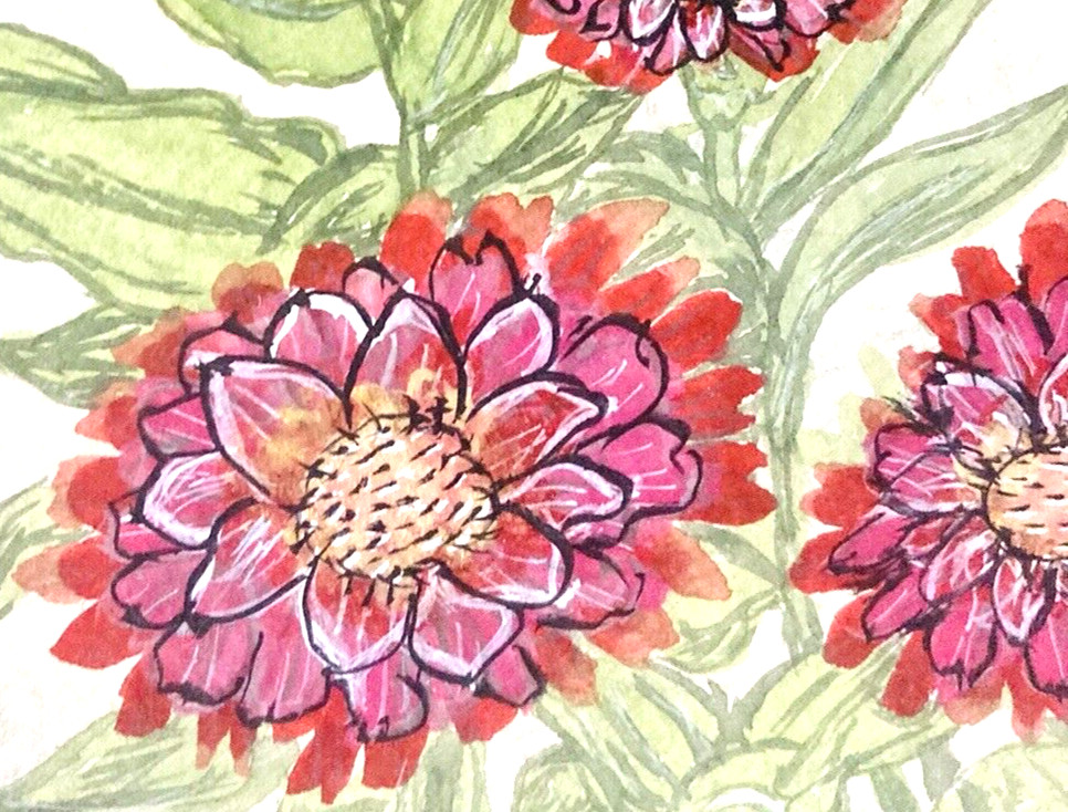 Vibrant Zinnias Watercolor 13″ Framed Garden Art Flowers Drawing 70s Cottagecore