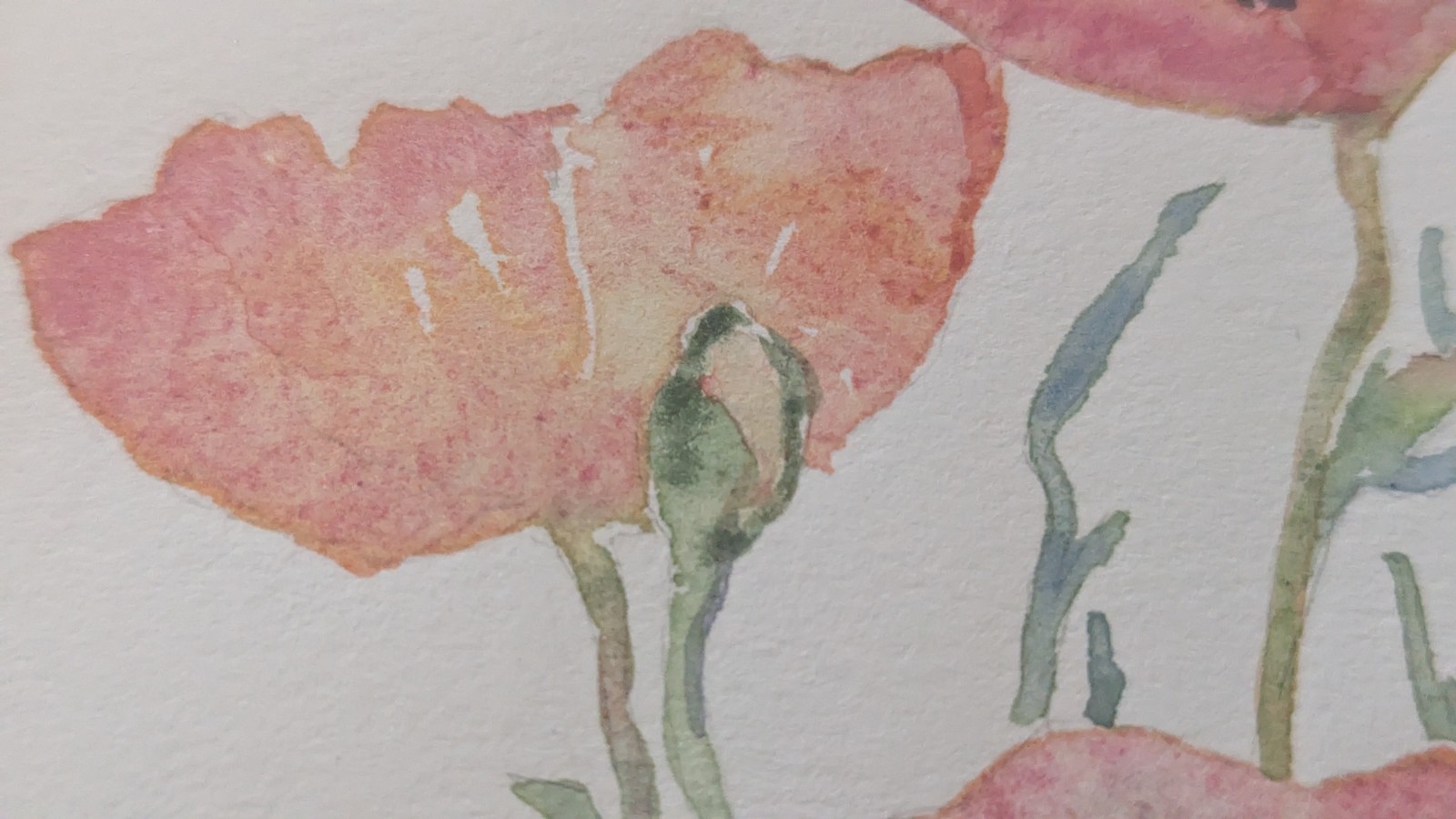 Framed Matted Signed Watercolor Painting By Ann Diekarz 1992 16.25″x16.25″