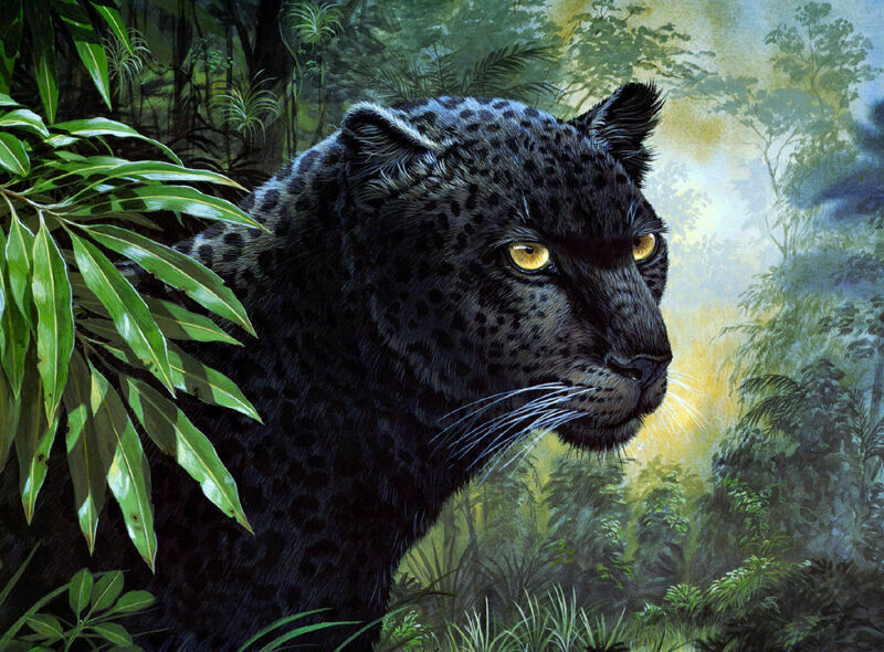 Art Oil Painting High-quality Handpainted Wall Animals Black Panther on canvas