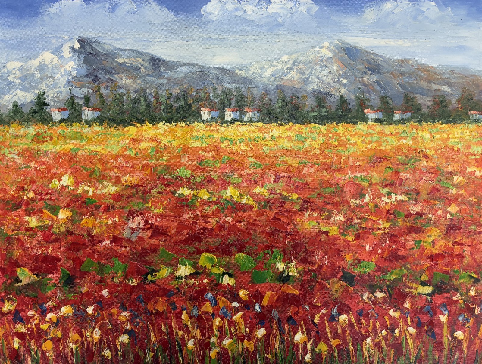 *Poppy Field with mountains* original hand painted on Canvas