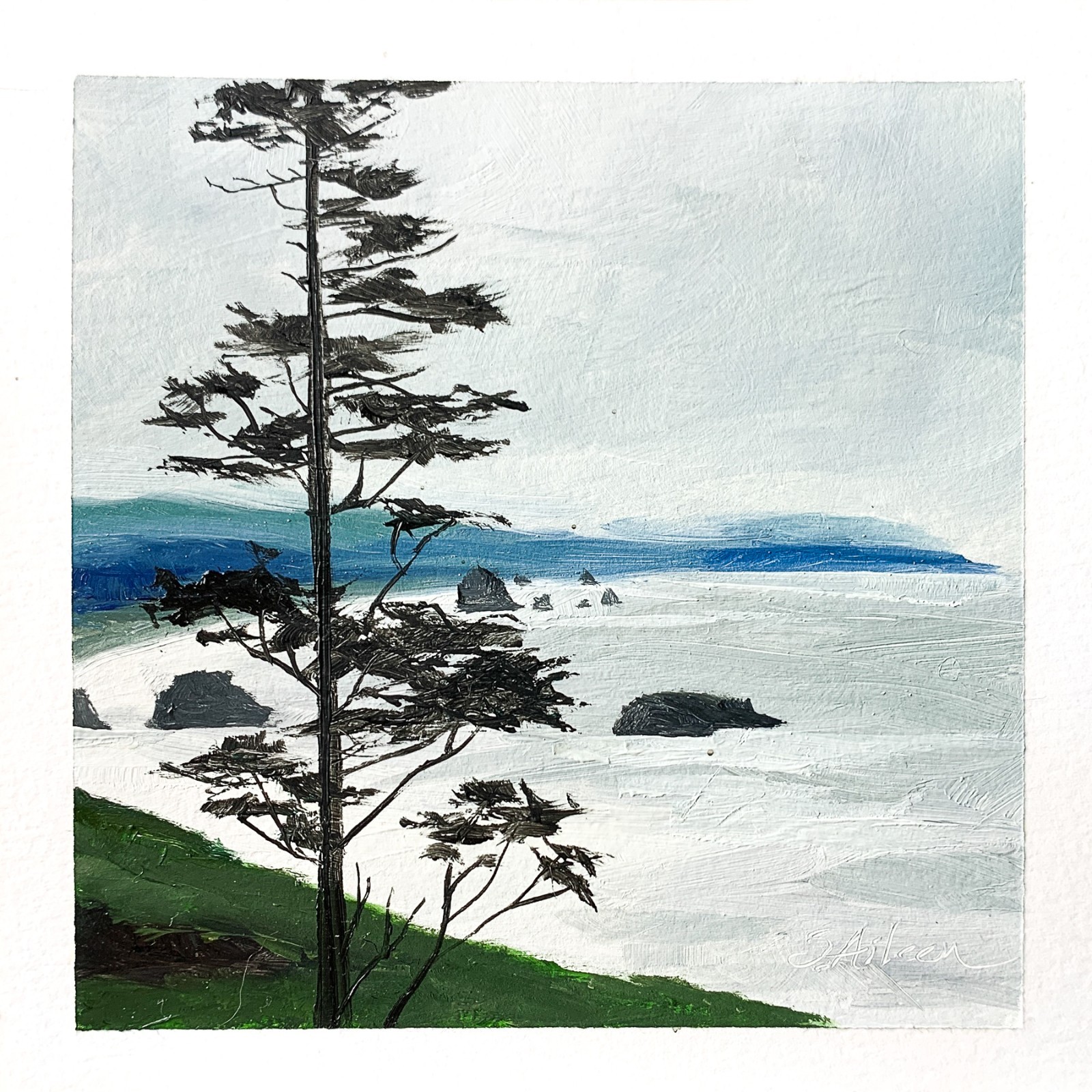 6×6 PNW Original Oil Painting Seascape Ecola Pacific Coastal Ocean Pines Signed