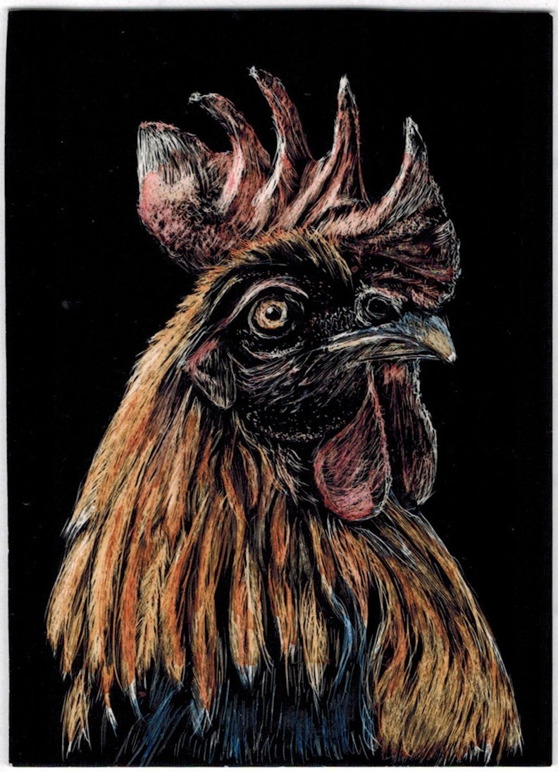 ACEO Original scratchboard art rooster – «DoodleDude»